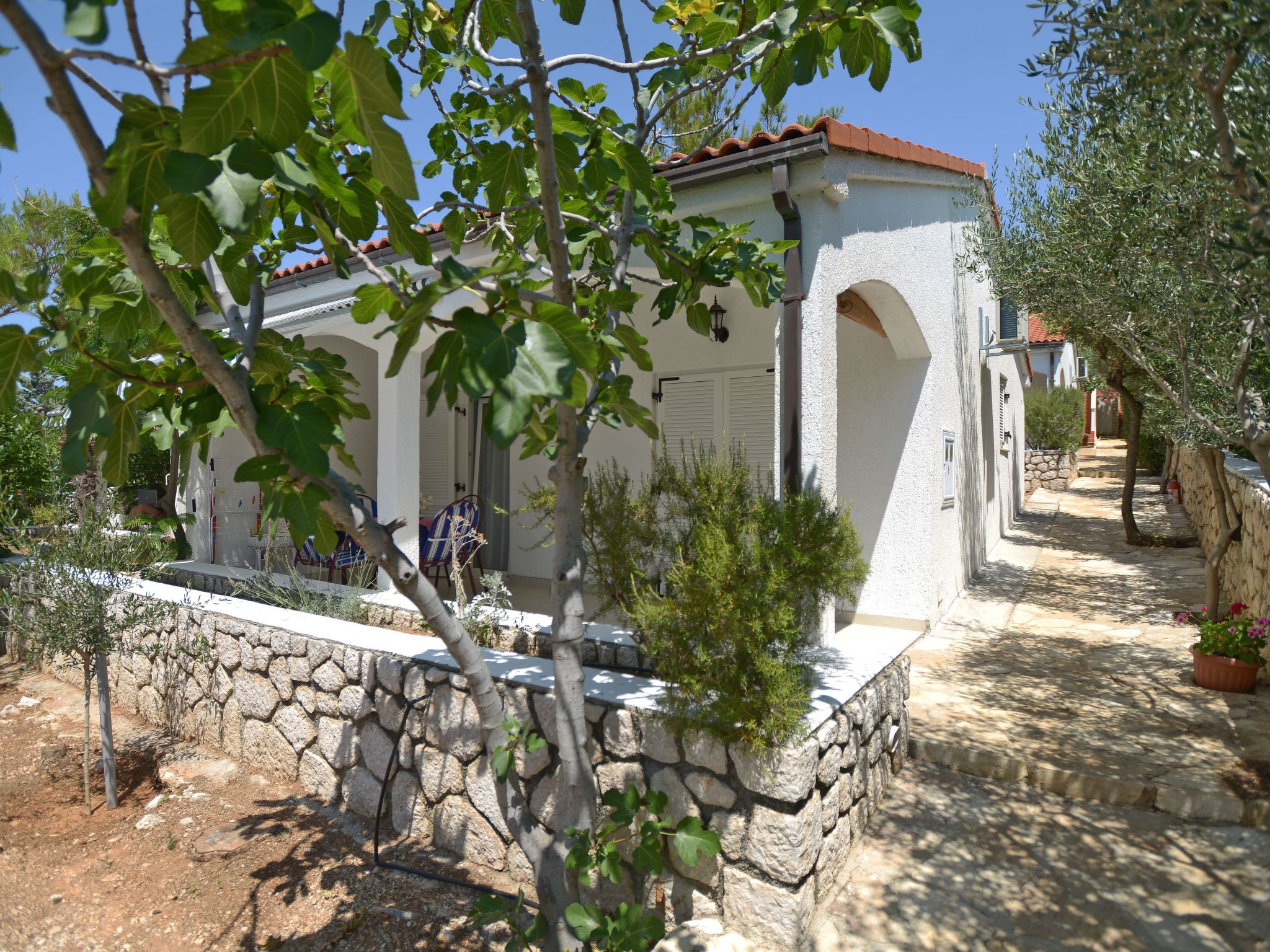 Vakantiehuis met 2 slaapkamer(s) in Kolan (Kroatië) voor 4 personen