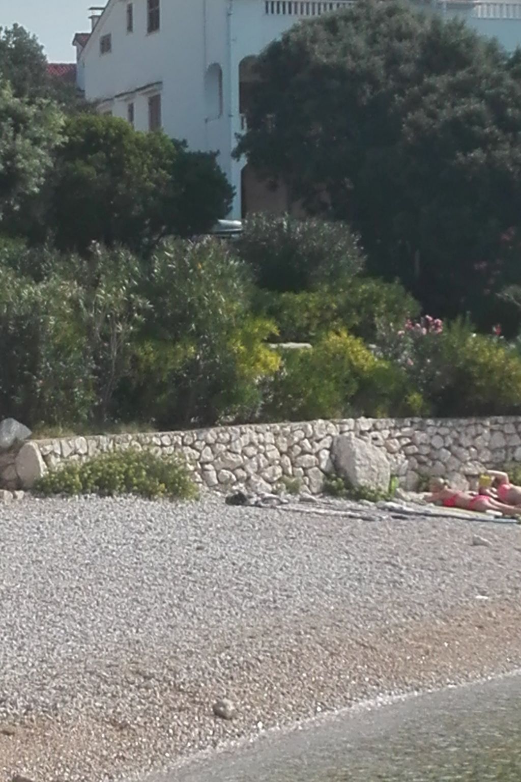 "Mia" mit Blick auf das Wasser-Binnen