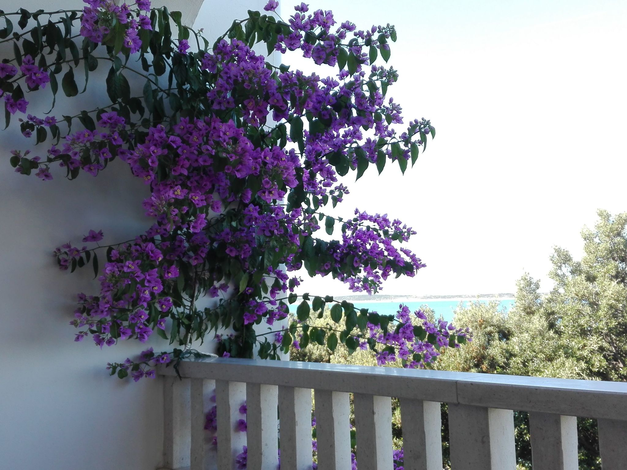 "Mia" mit Blick auf das Wasser-Binnen