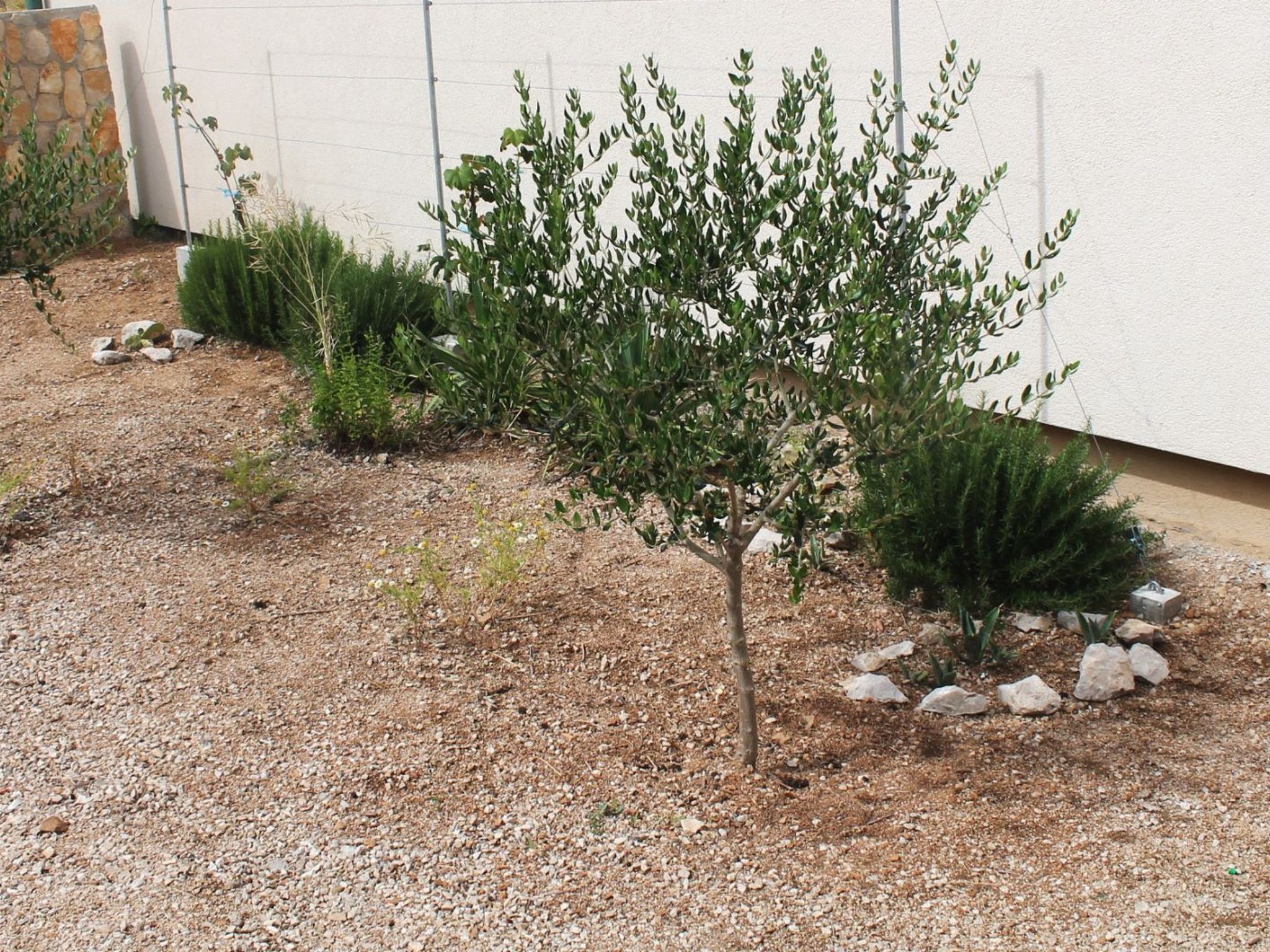 "Gubo2" mit Blick auf das Wasser-Binnen
