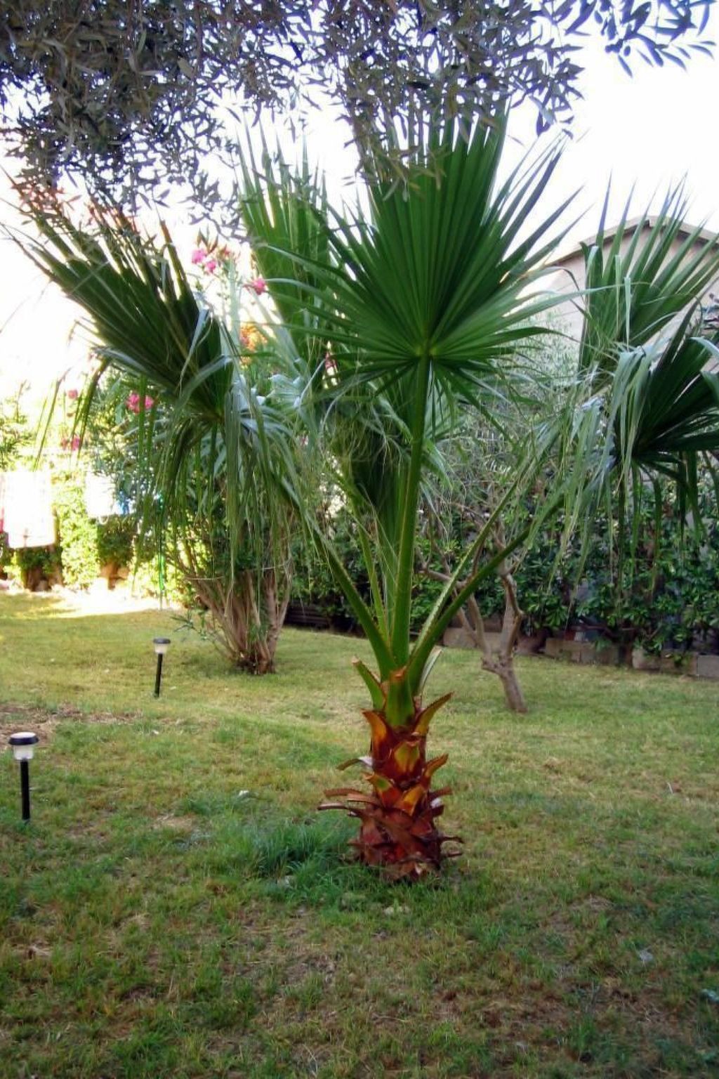 Große Ferienwohnung in Pag mit Privater Terrasse-Binnen