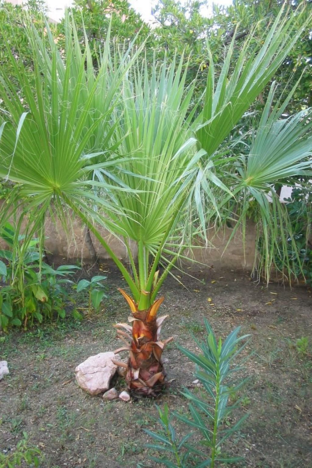 Große Ferienwohnung in Pag mit Privater Terrasse-Binnen