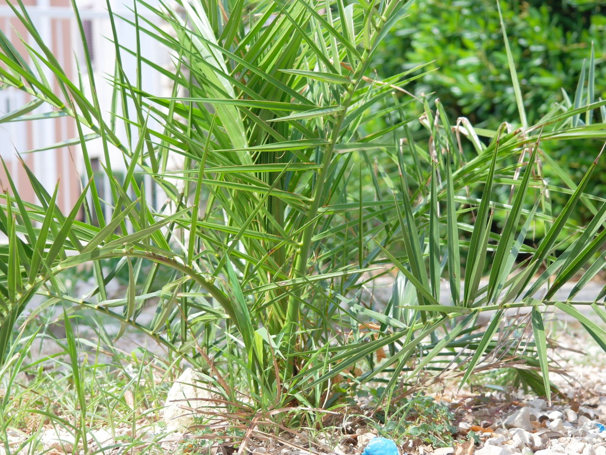 Stonehouse-pag-Image-tags.info