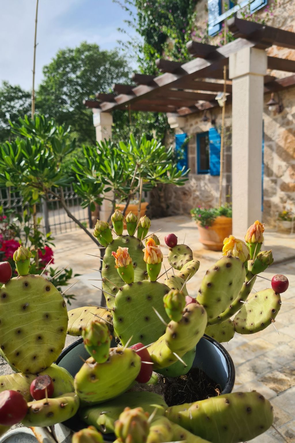 Altes Steinhaus Goranova Kuca-Binnen
