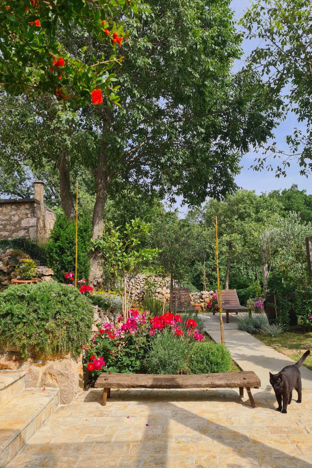 Altes Steinhaus Goranova Kuca-Binnen