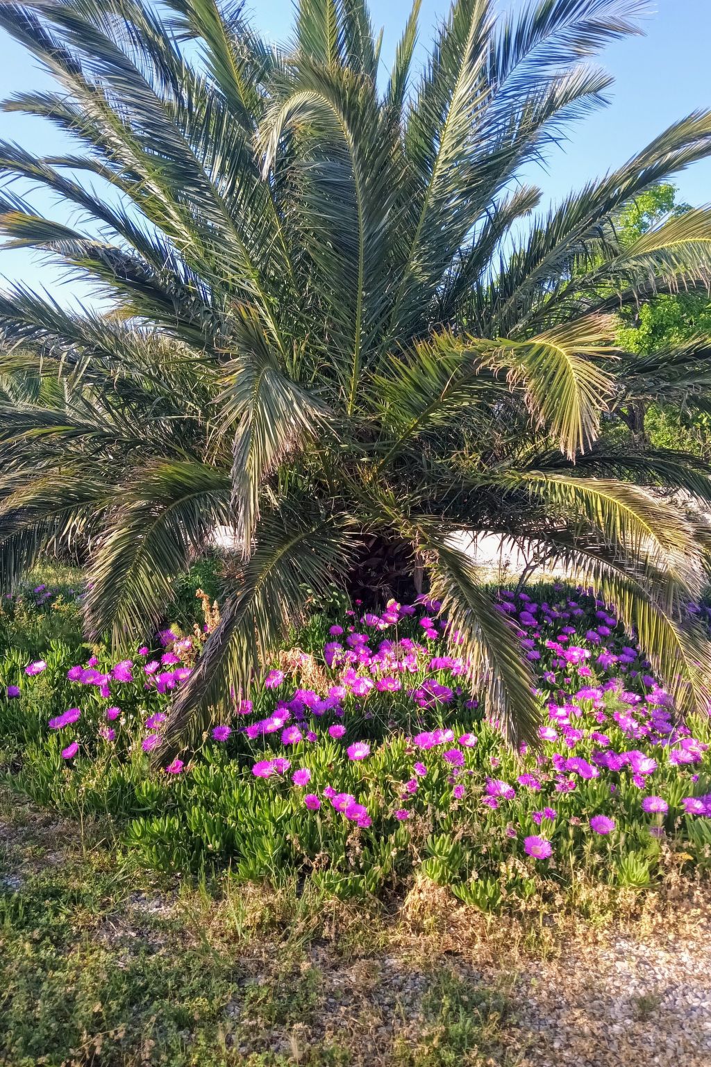 Geräumige Wohnung in Starigrad mit privatem Parkplatz und Bergblick-Image-tags.info