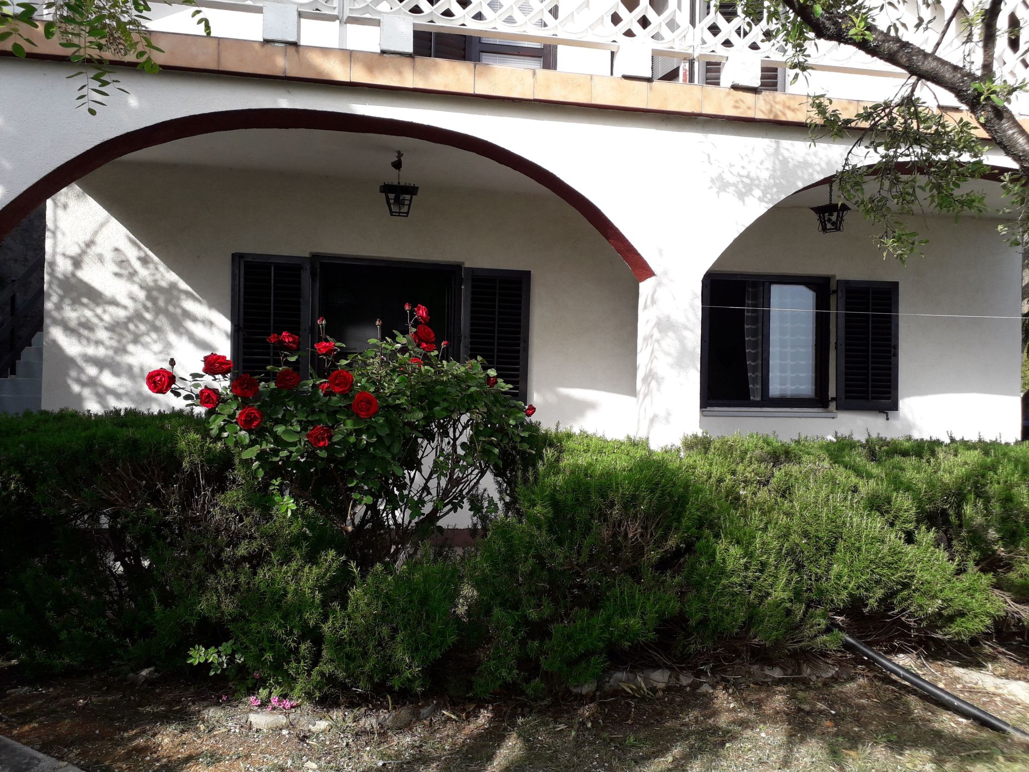 Mit Meerblick-Binnen