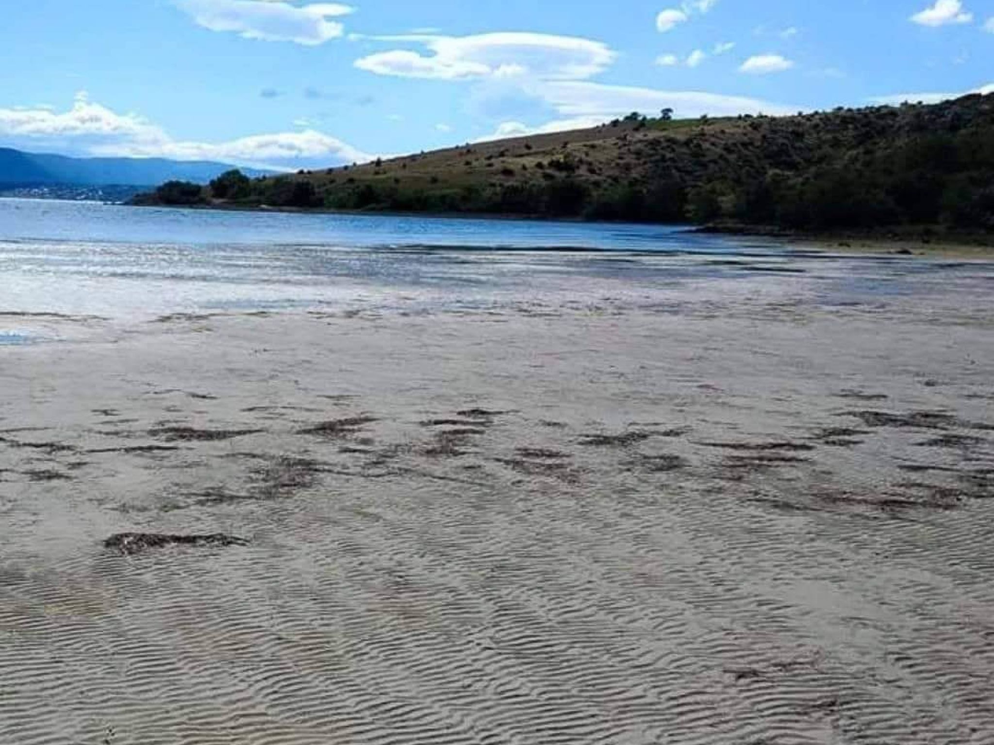Angenehmes Haus in Posedarje mit großem Garten-Binnen