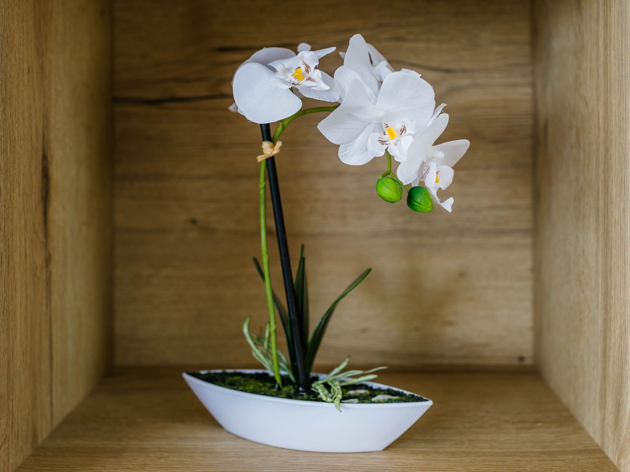 Mediterrane Villa, Pool, Panoramablick aufs Meer-Image-tags.info