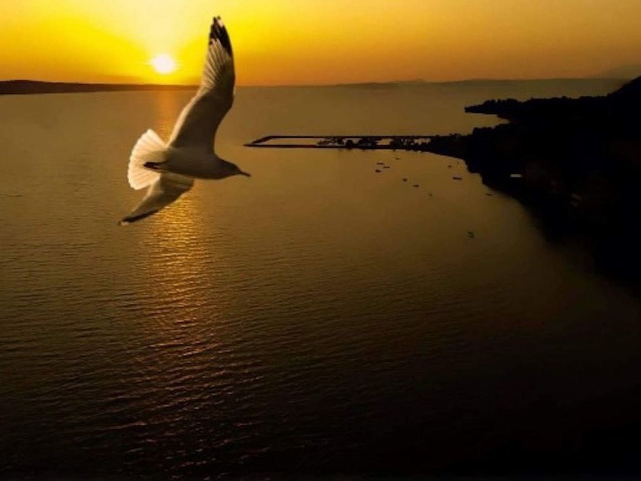 Wohnung "Wohnung A1" direkt am Strand-Drinnen