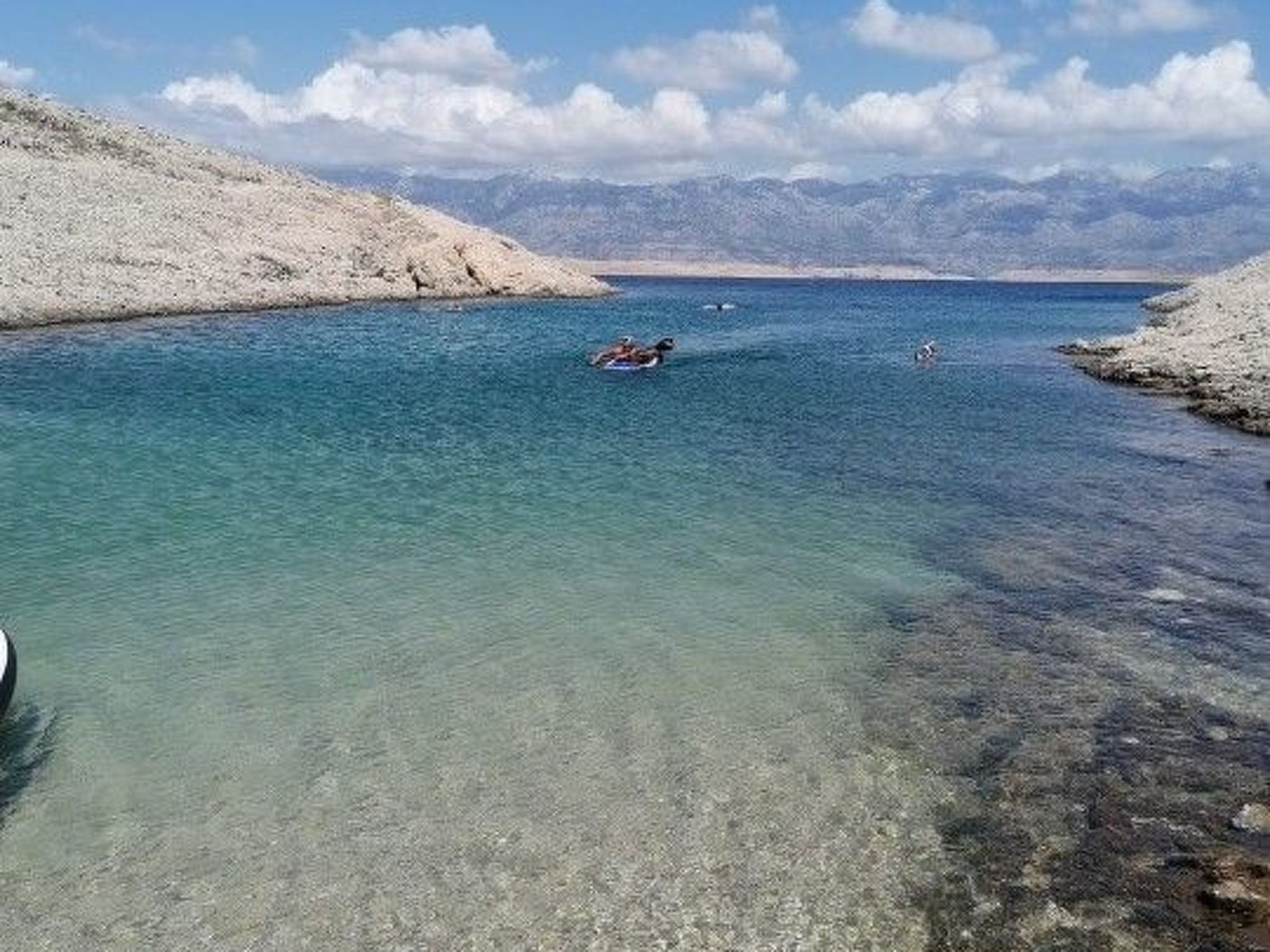 Großes Appartement-Image-tags.info