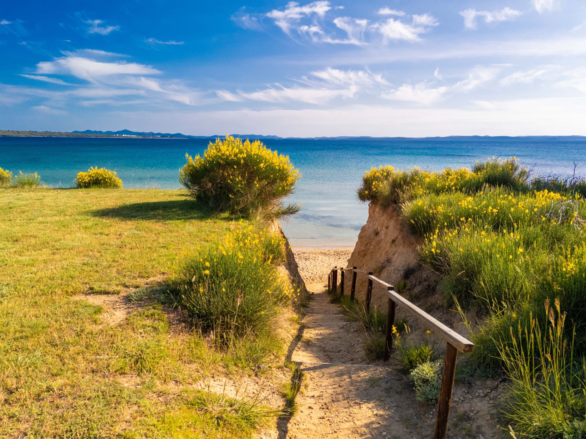 Photo of HR4040.617.1