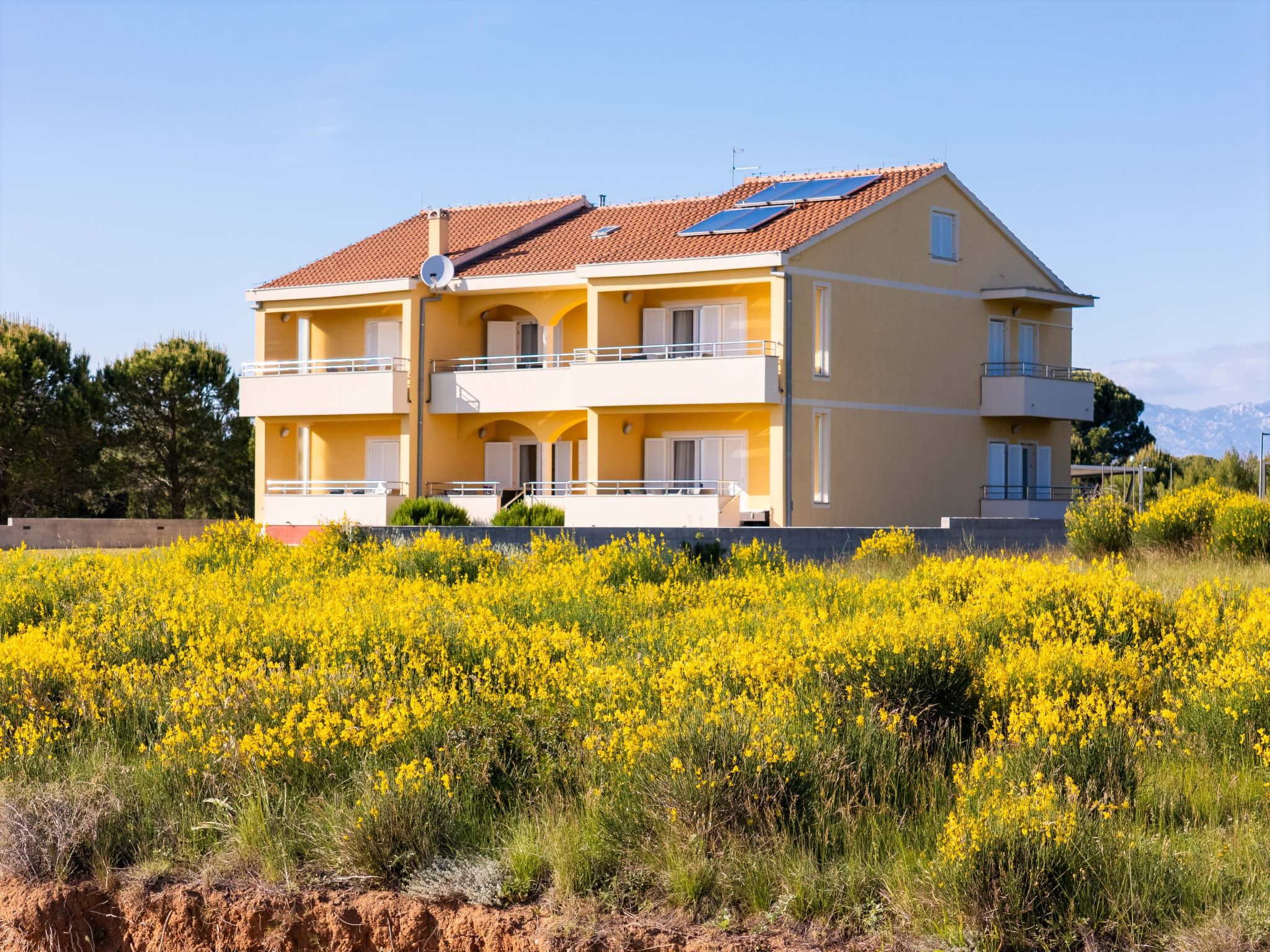 Photo of HR4040.619.1