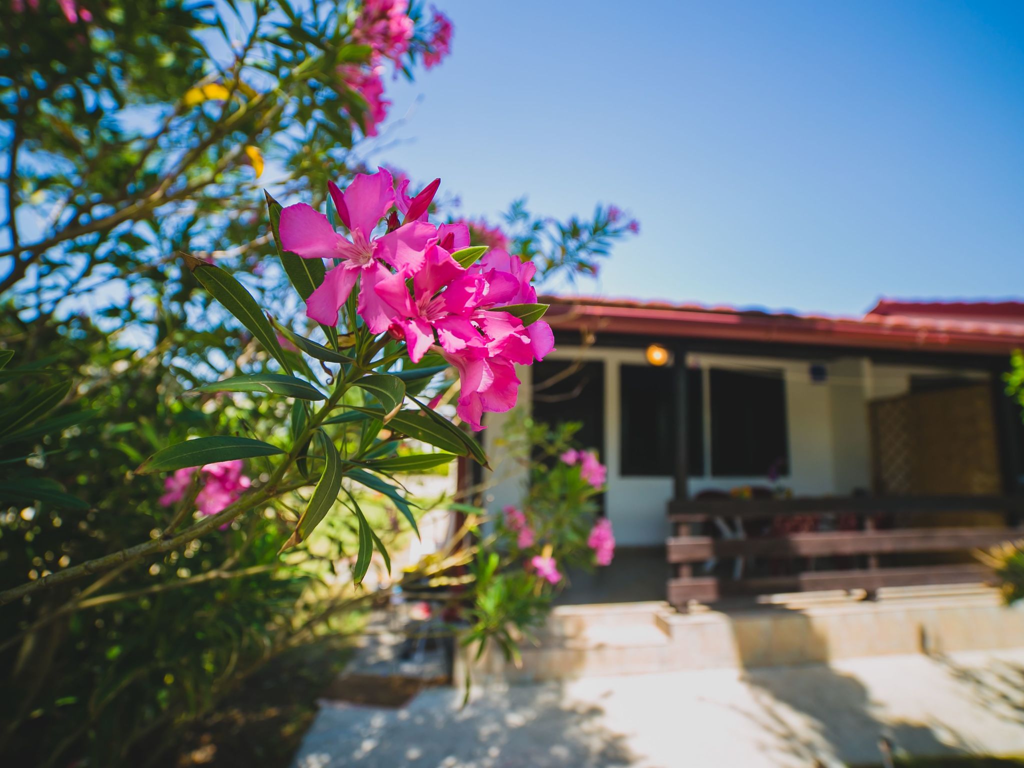 Photo of Gelassenheit am Meer 1