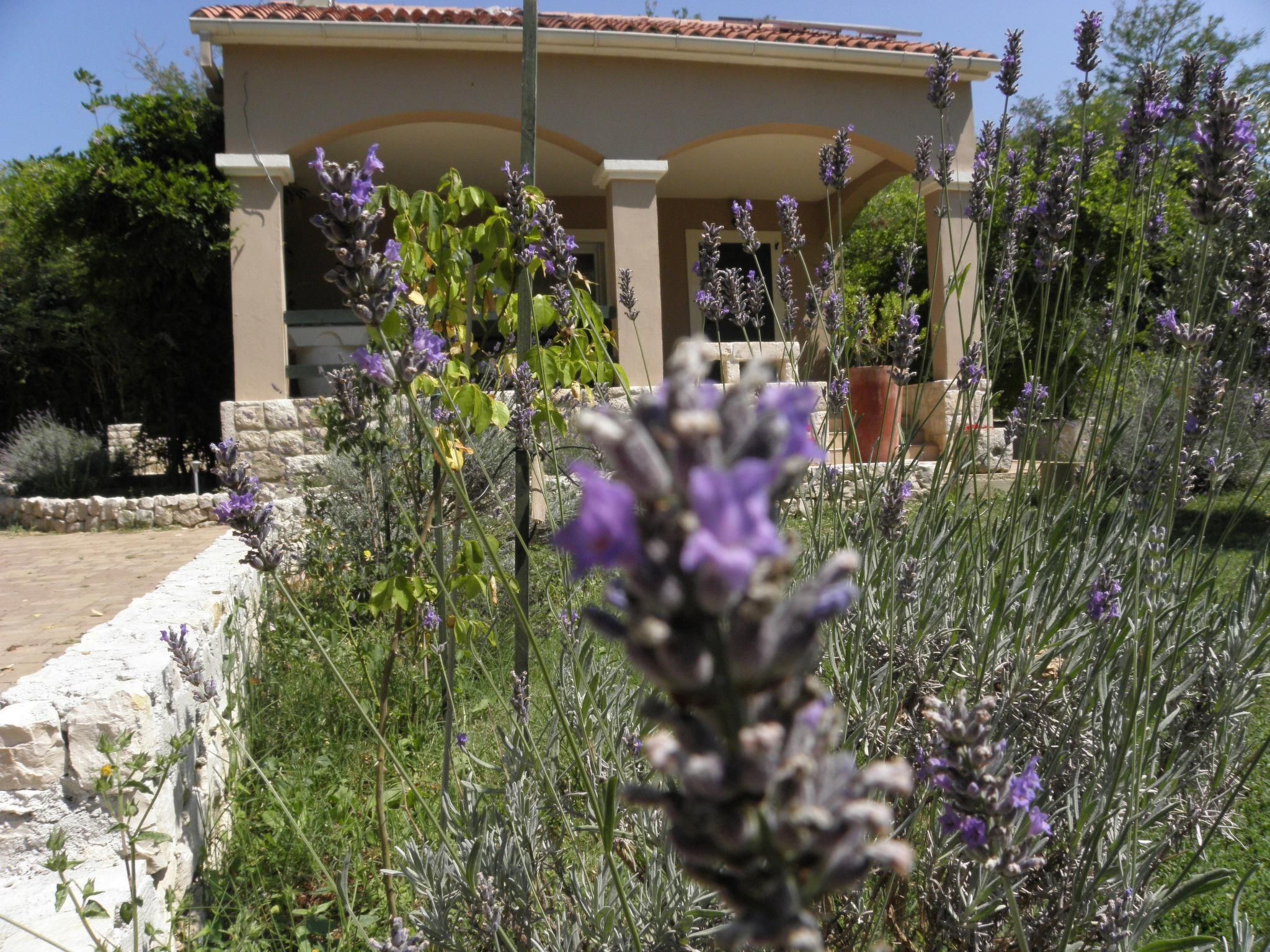Am Fluss gelegenes Haus mit Galerieschlafplätzen-Binnen