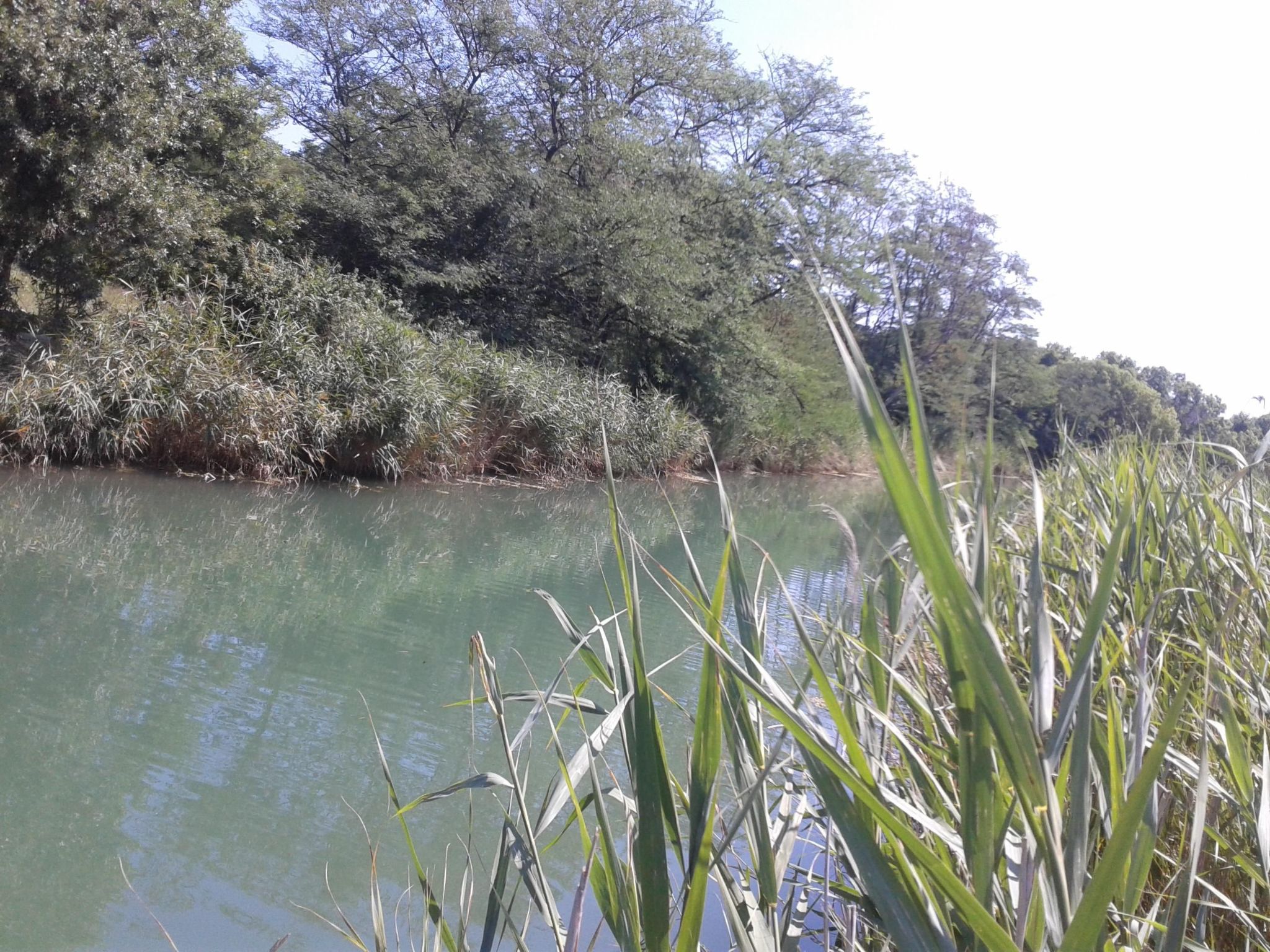 Am Fluss gelegenes Haus mit Galerieschlafplätzen-Binnen