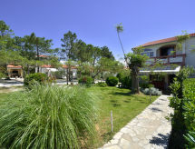 Apartment Luce