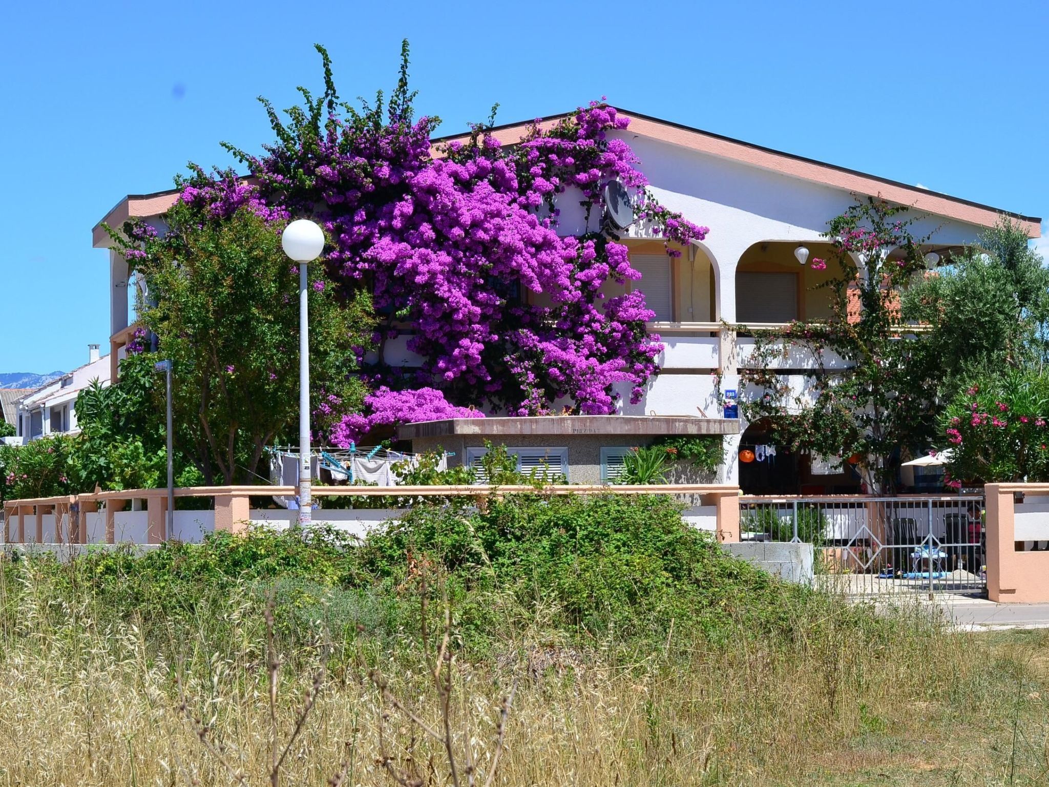 Vakantiehuis met omheinde tuin in Vir (Kroatië) 1 hond is welkom