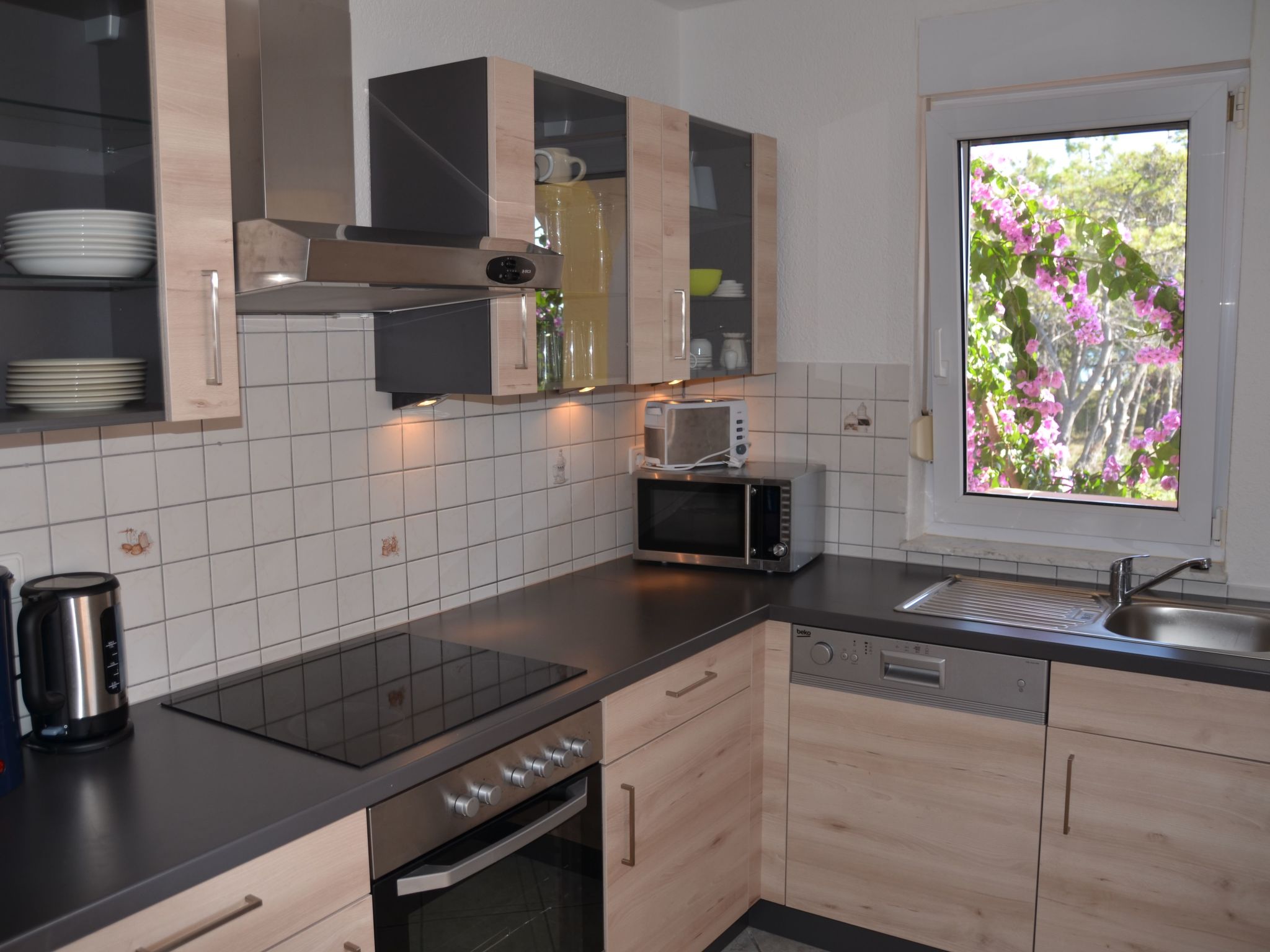 Delfin-Image-tags.info