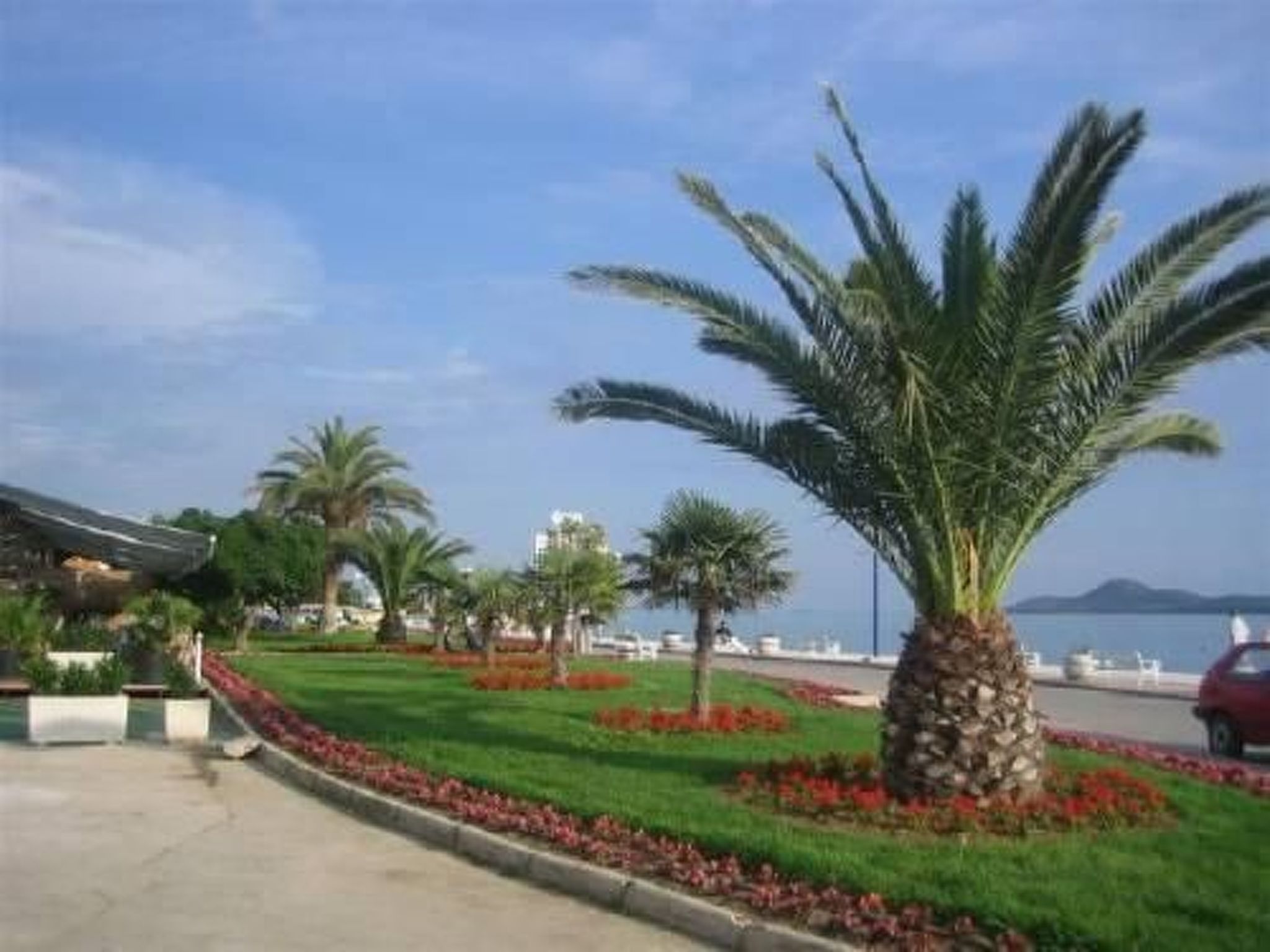 Emily-Image-tags.info