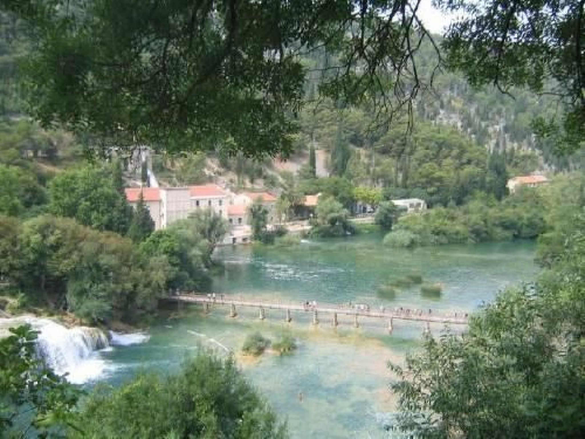 Emily-Image-tags.info