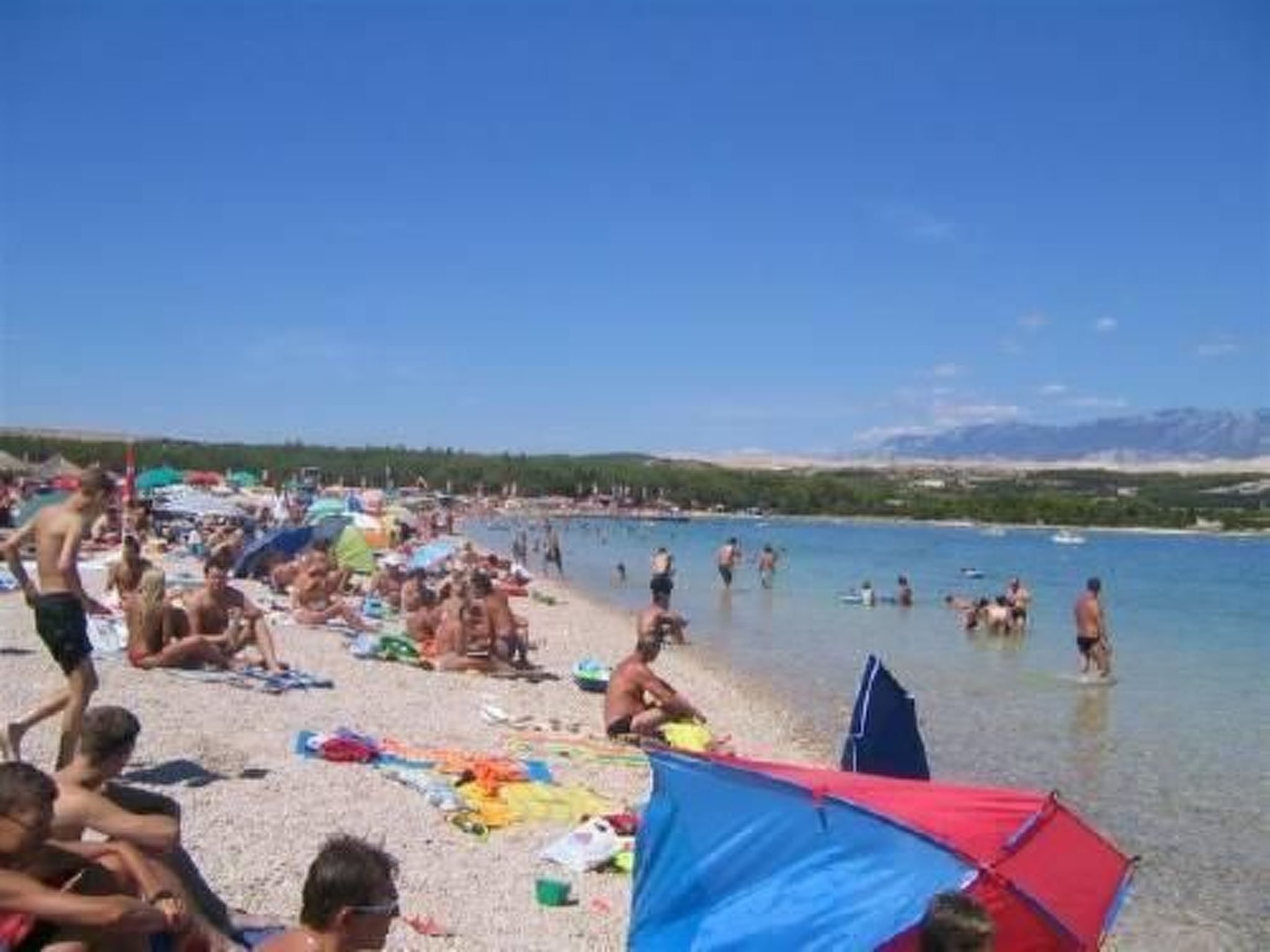 Emily-Image-tags.info