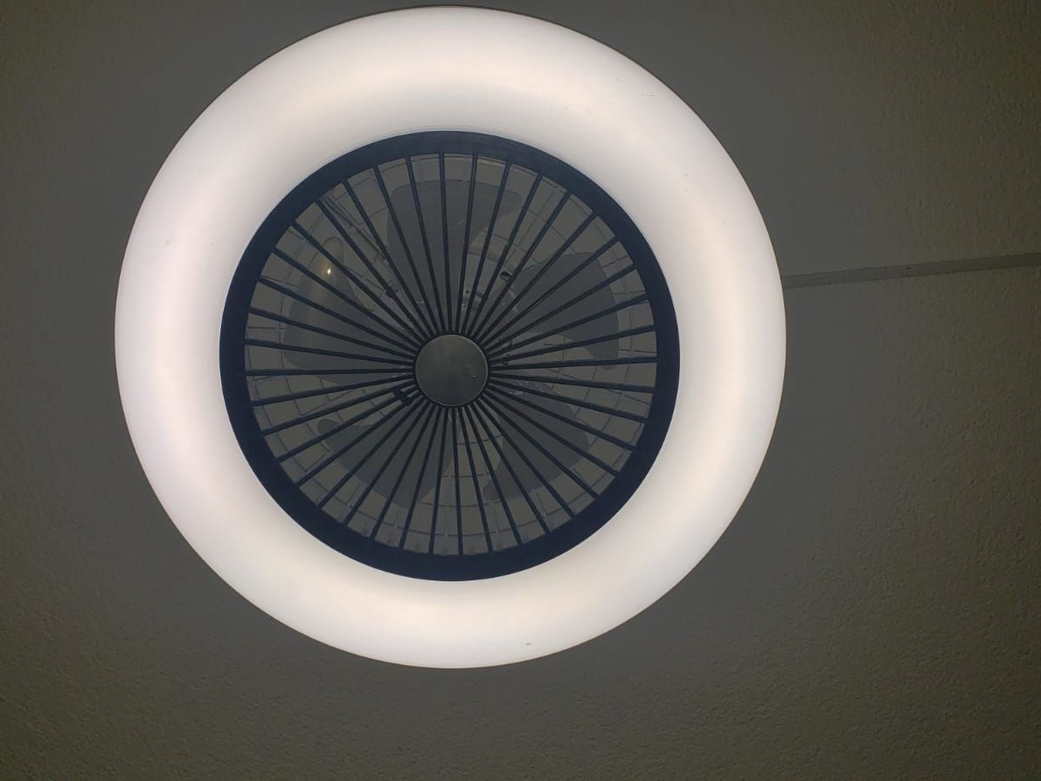 Emily-Image-tags.info