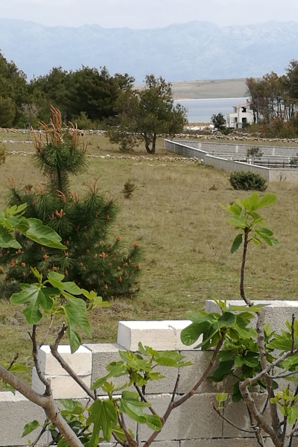 Gemütliche Erdgeschosswohnung Ema mit Terrasse-Image-tags.info