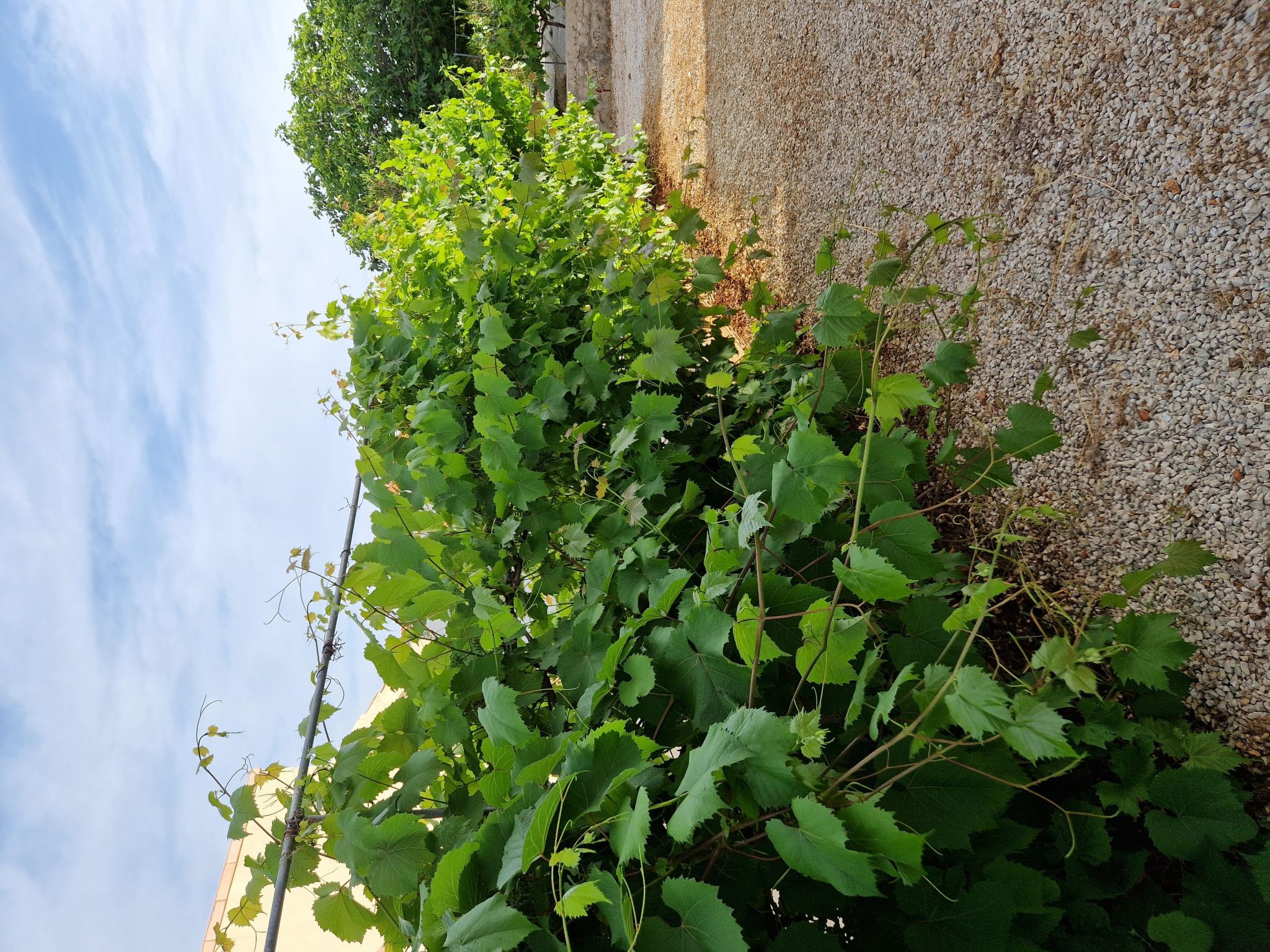 Gemütliche Erdgeschosswohnung Ema mit Terrasse-Image-tags.info