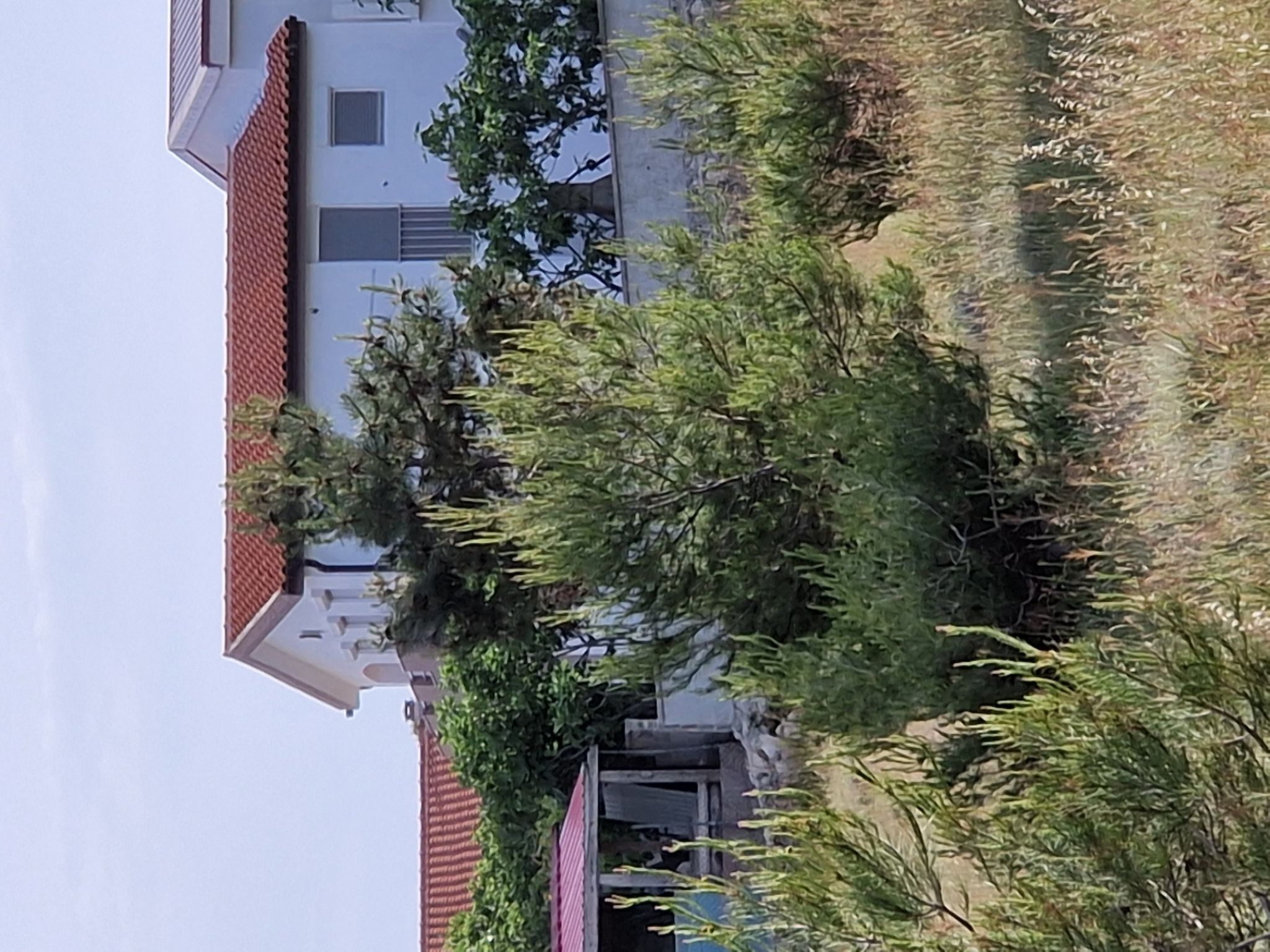 Ema erste Etage mit offener Terrasse-Binnen