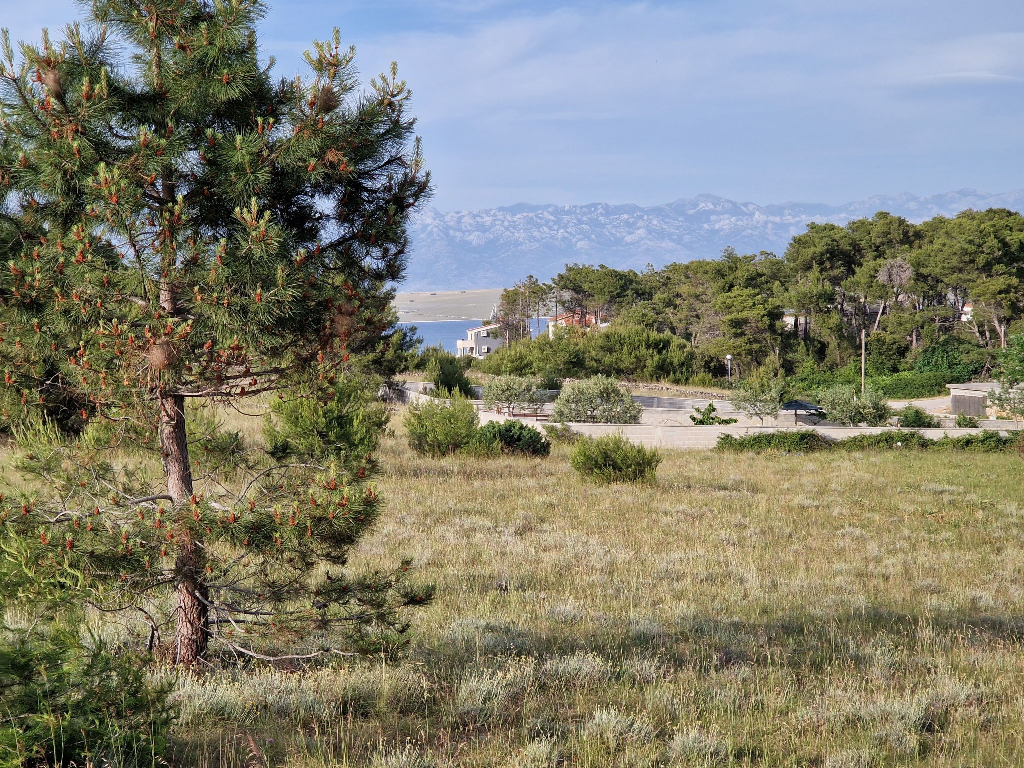 Gemütliche Wohnung Ema in Vir-Image-tags.info