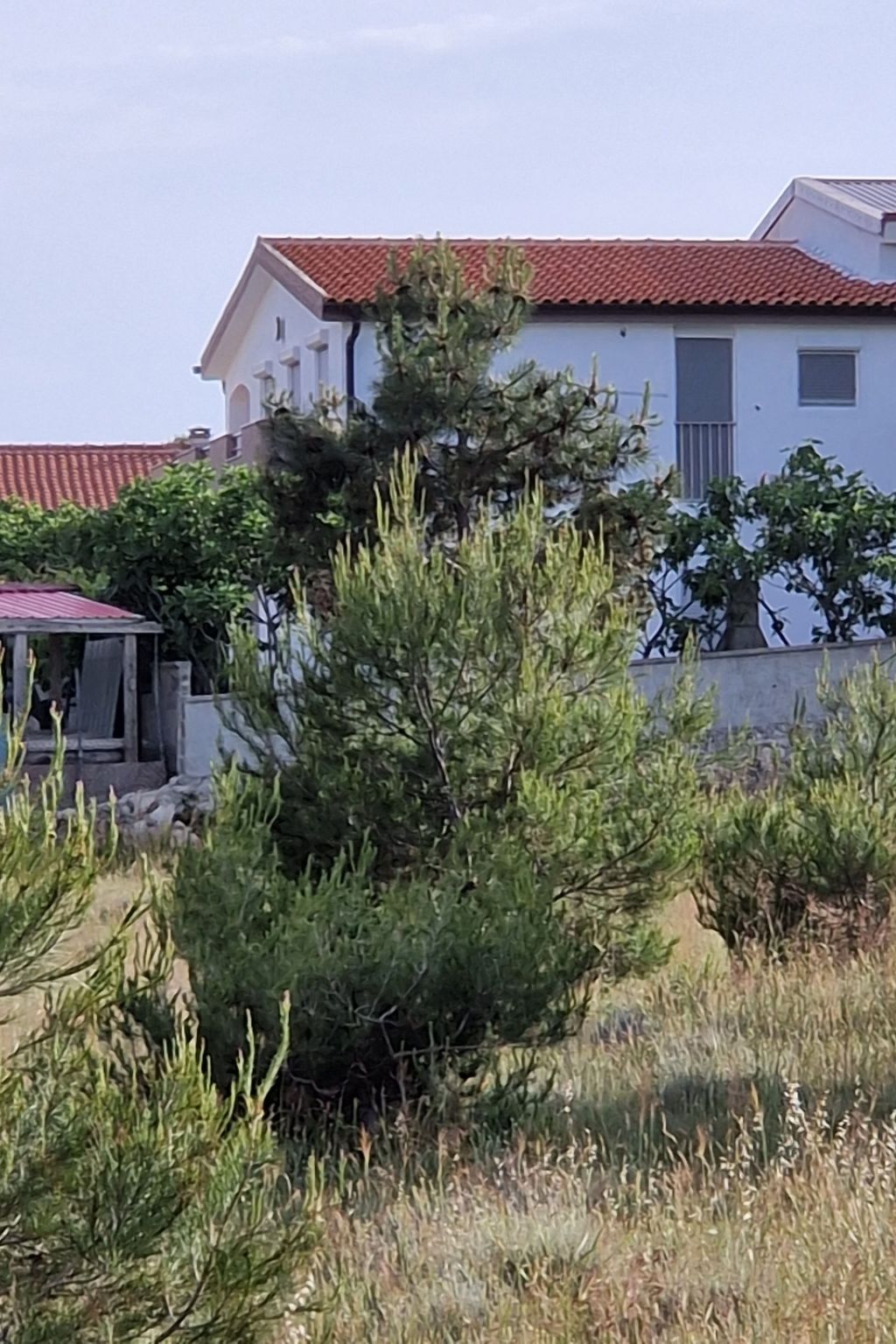 Gemütliche Wohnung Ema in Vir-Image-tags.info