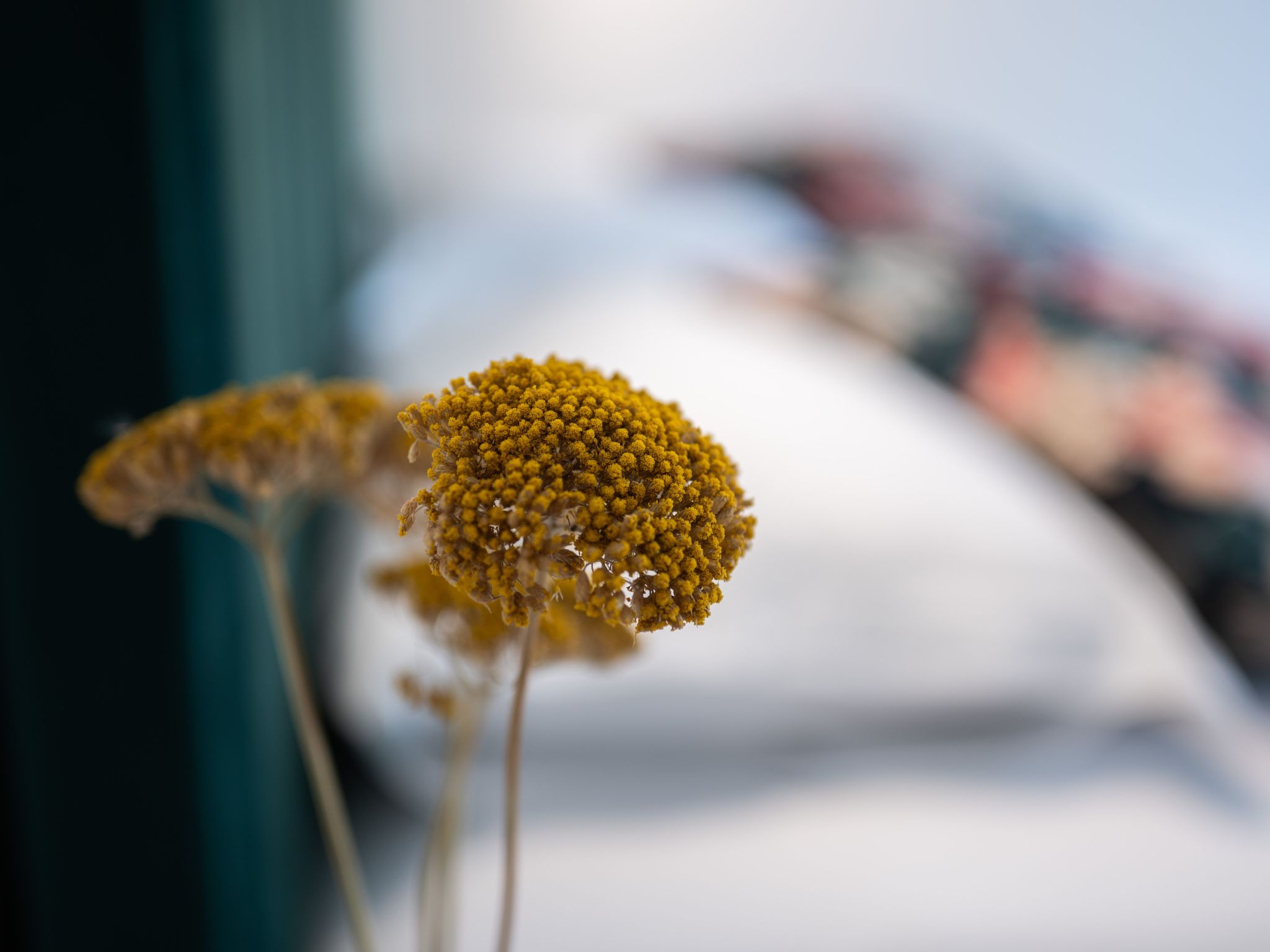 Photo of Heritage Vila malena