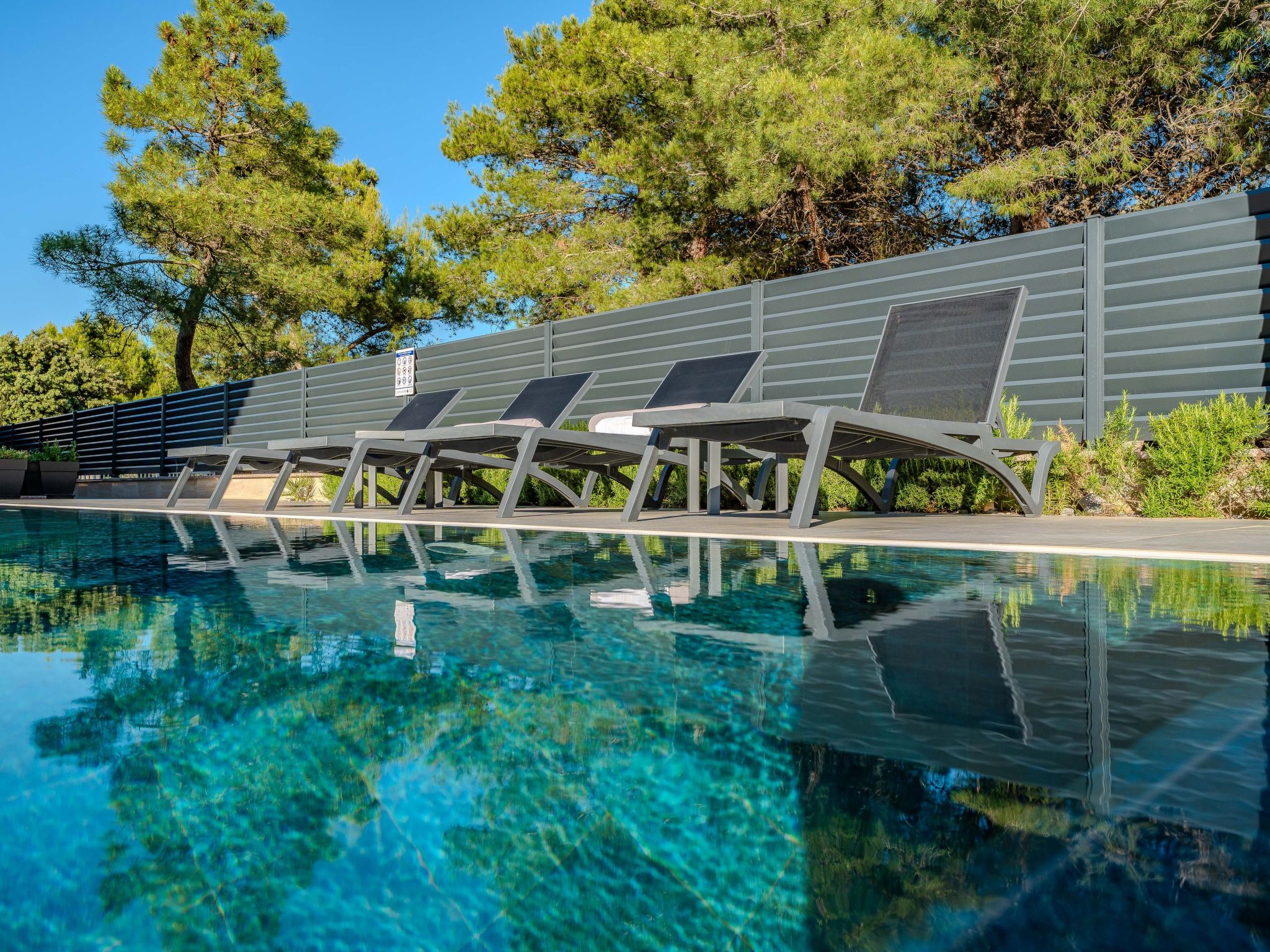 Royal 1-Image-tags.info