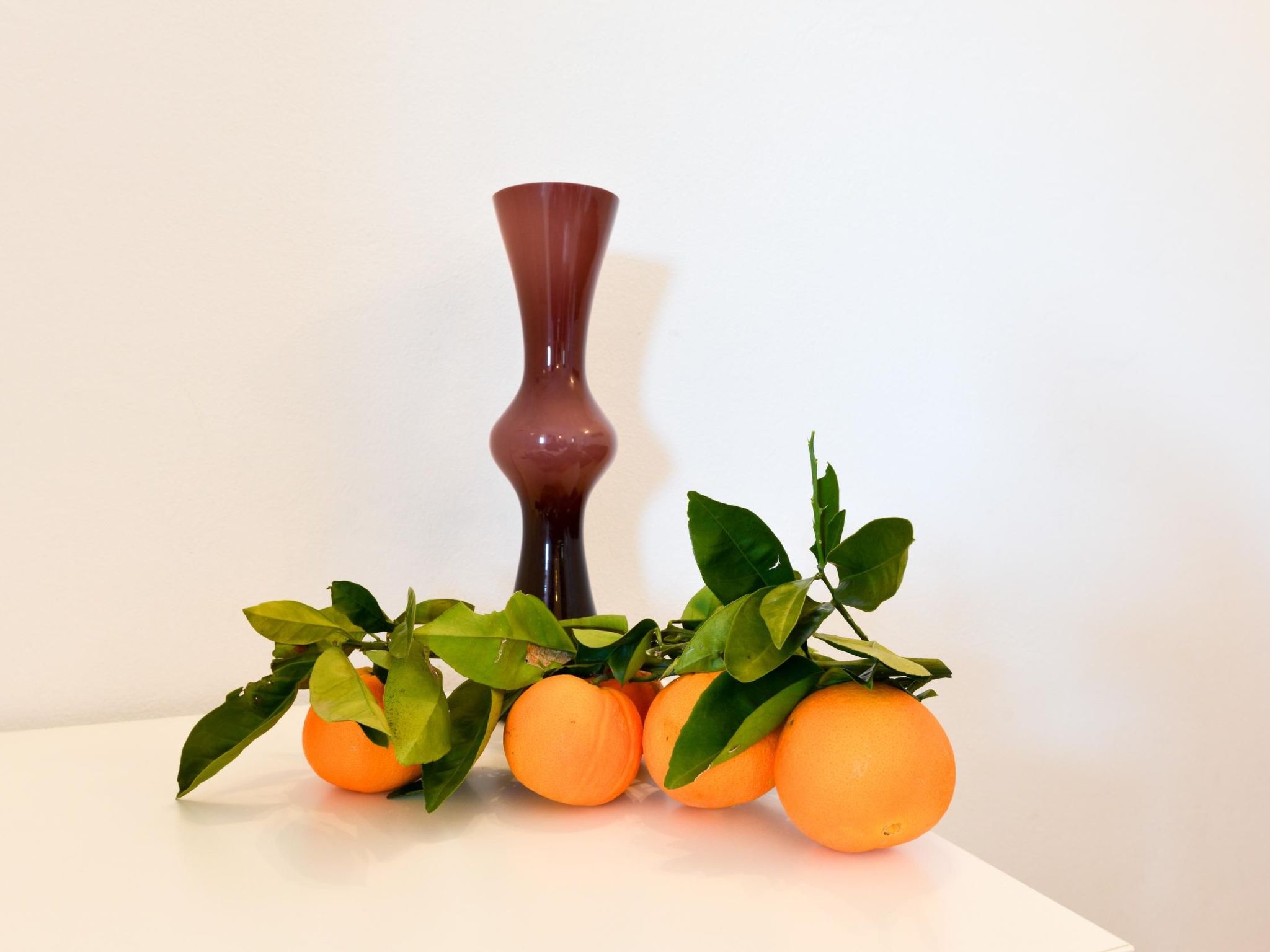 Mit Terrassen am Wald-Image-tags.info