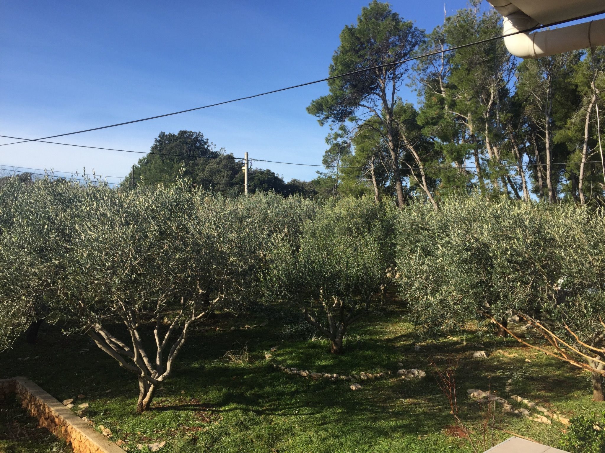 Geräumige Ferienwohnung mit schönem Garten-Image-tags.info