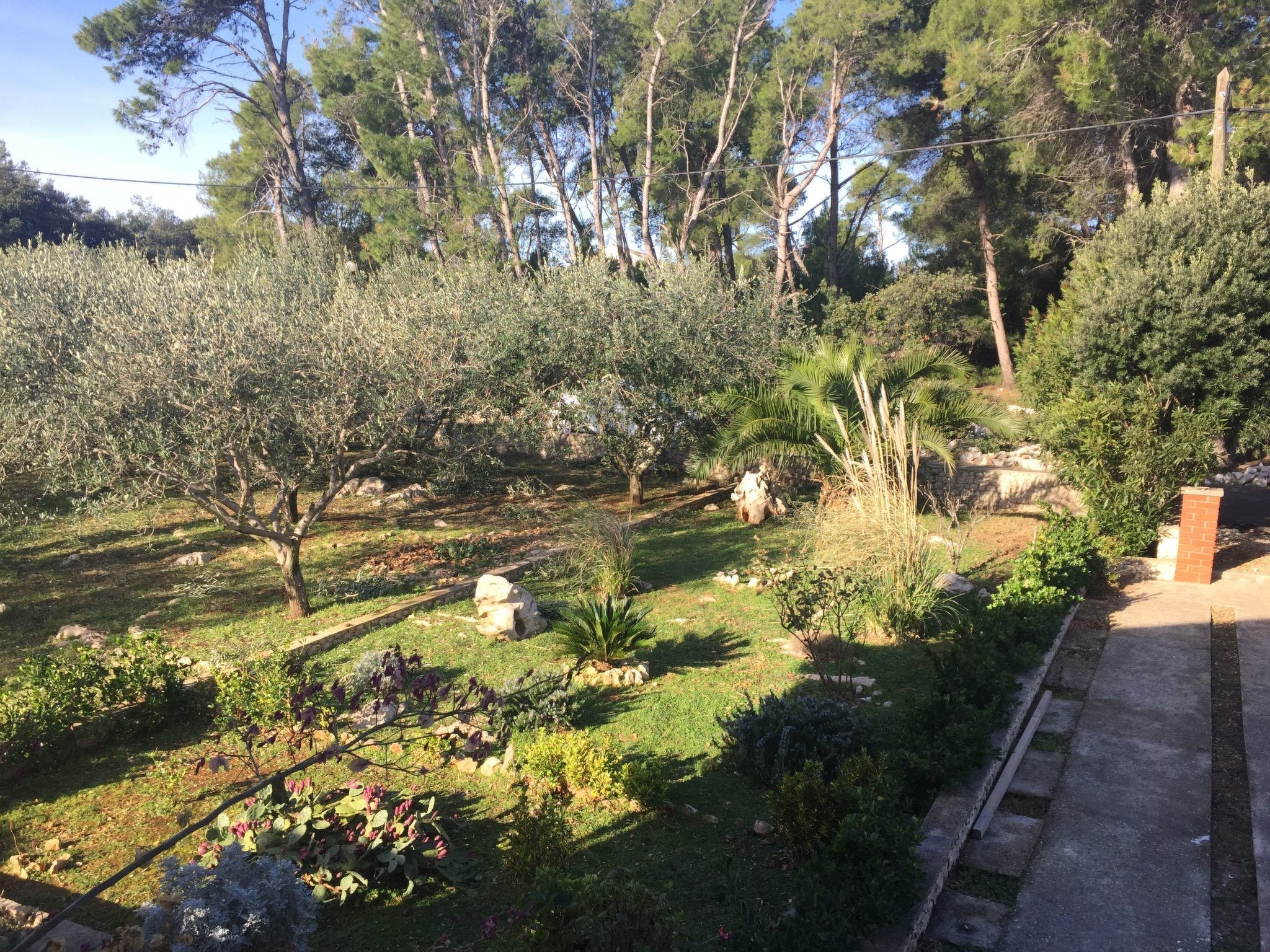 Geräumige Ferienwohnung mit schönem Garten-Image-tags.info