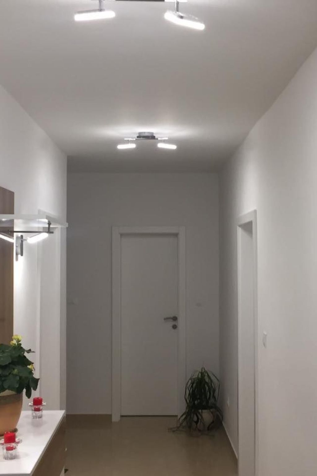 Geräumige Ferienwohnung mit schönem Garten-Image-tags.info