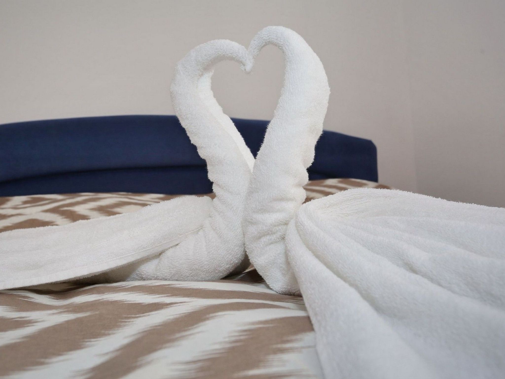 Apartment Marino 3-Image-tags.info