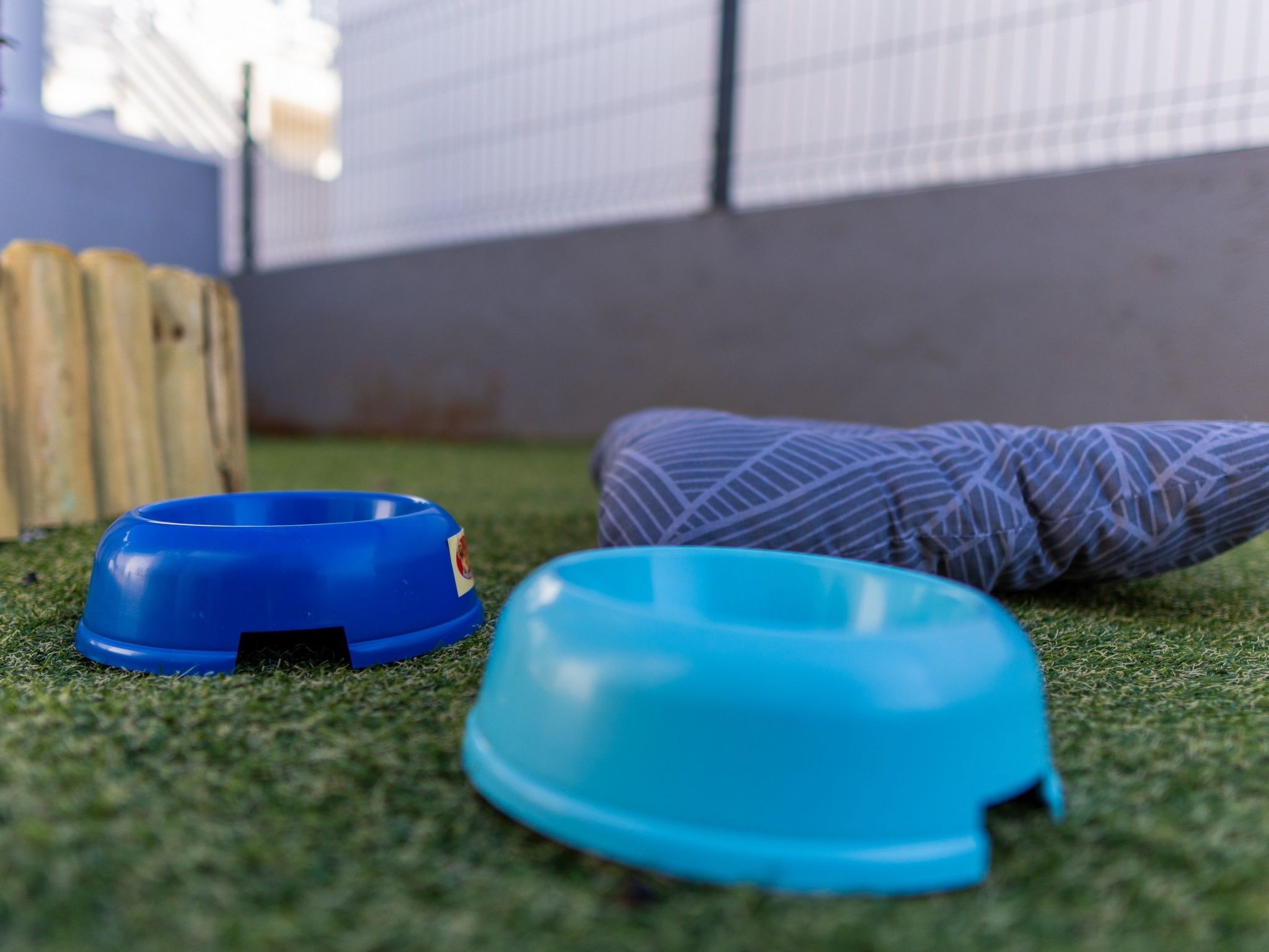 Apartment Floreani-Image-tags.info