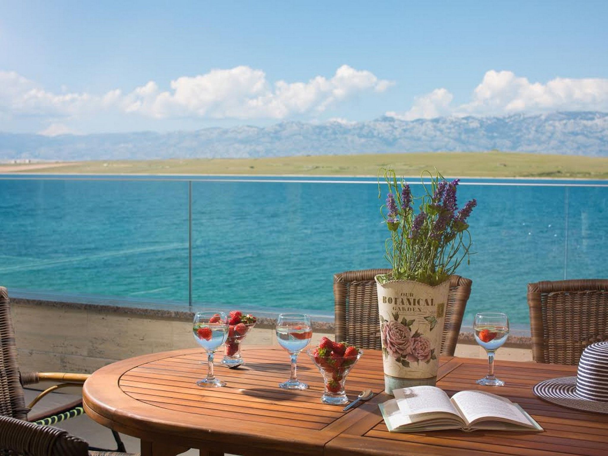 Apartment Vista Royal 2