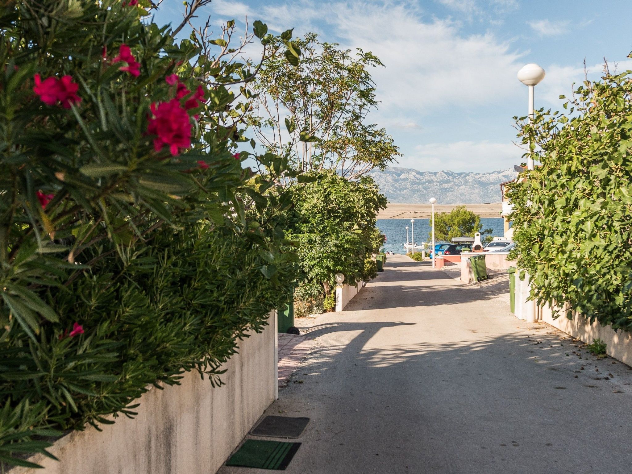 Steindl-Image-tags.info