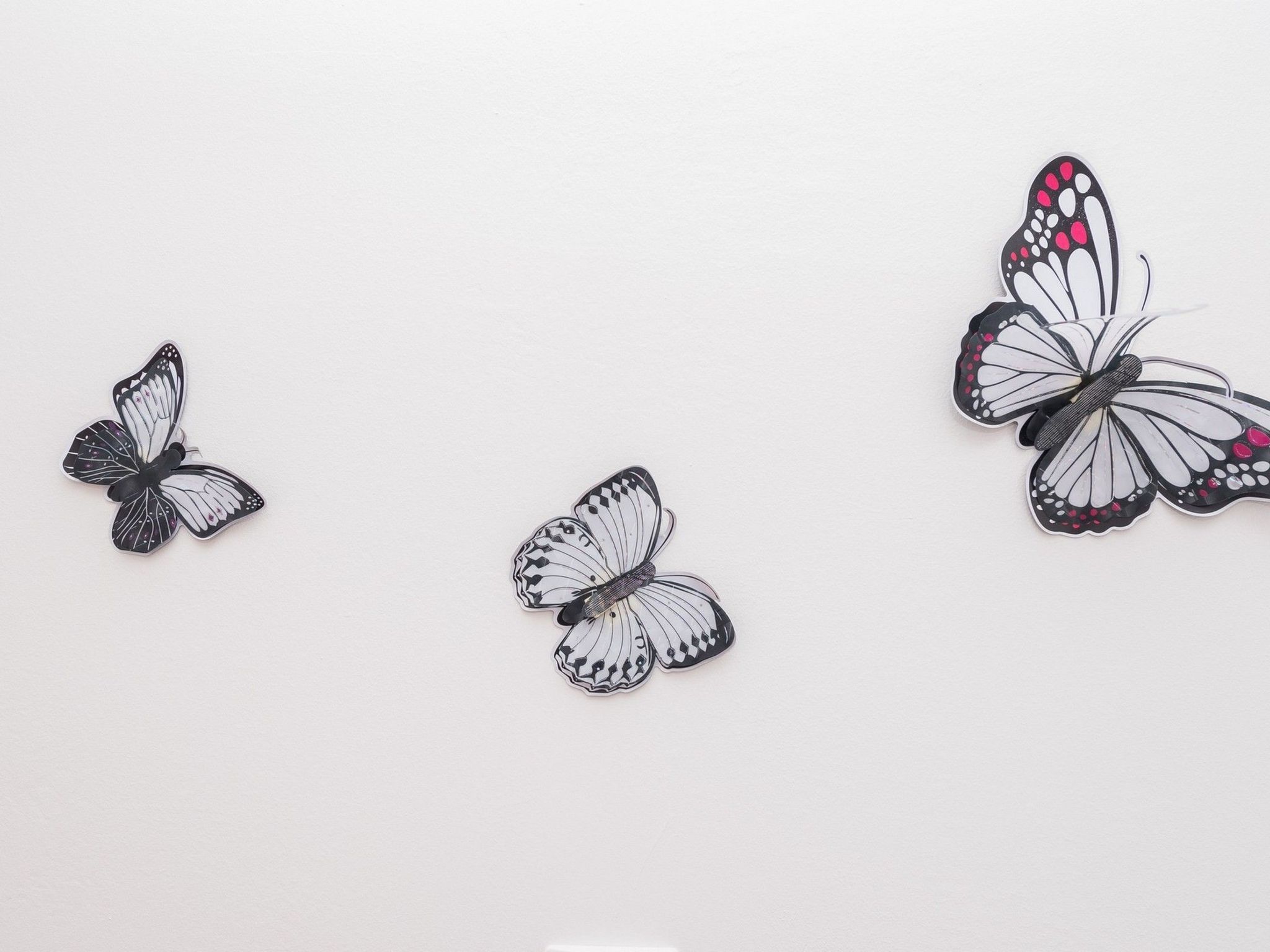 Apartement Banic-Image-tags.info