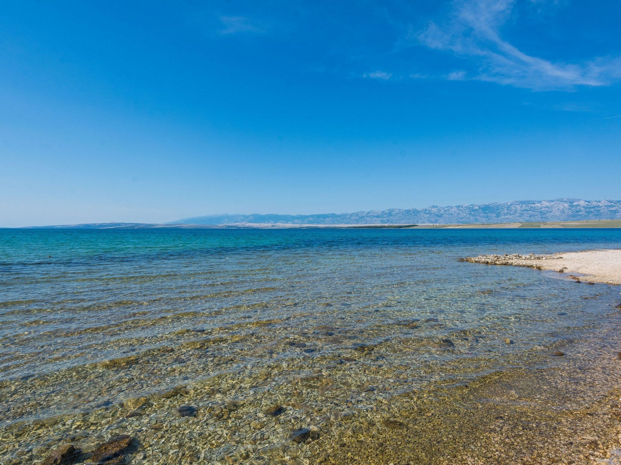 Photo of Apartment Jancic 1