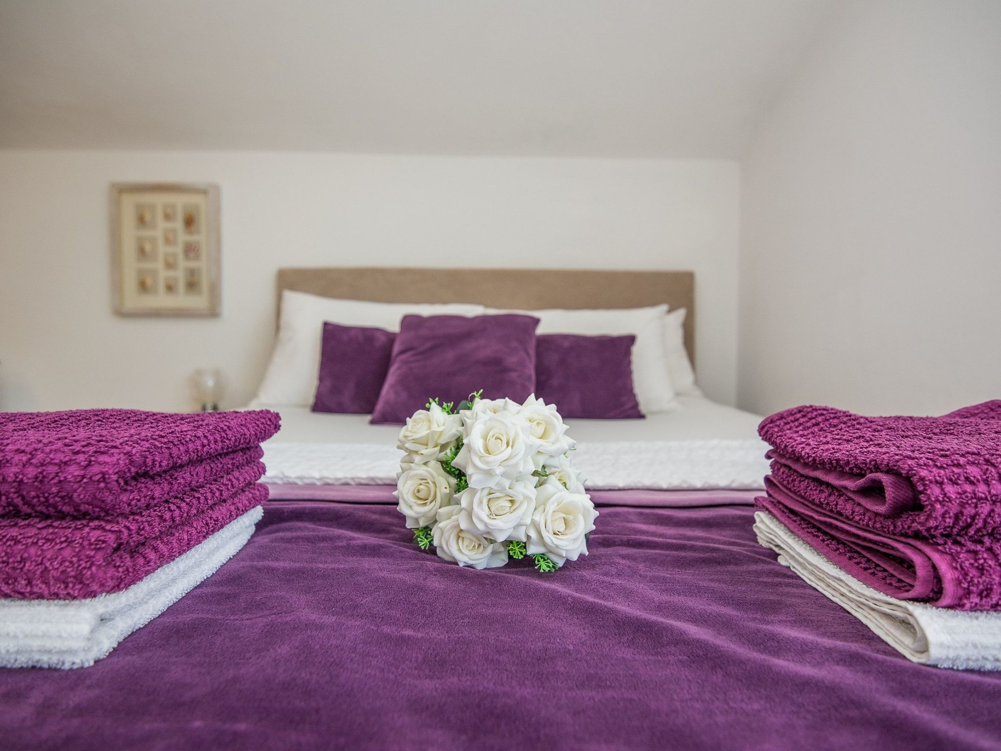 Apartment Kosic 4-Image-tags.info