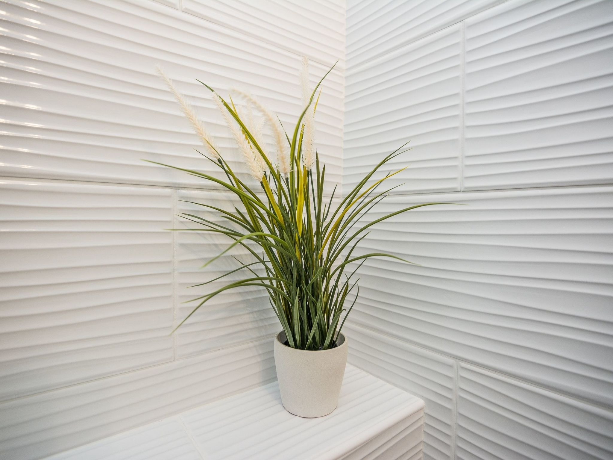 Apartment Kosic 4-Image-tags.info