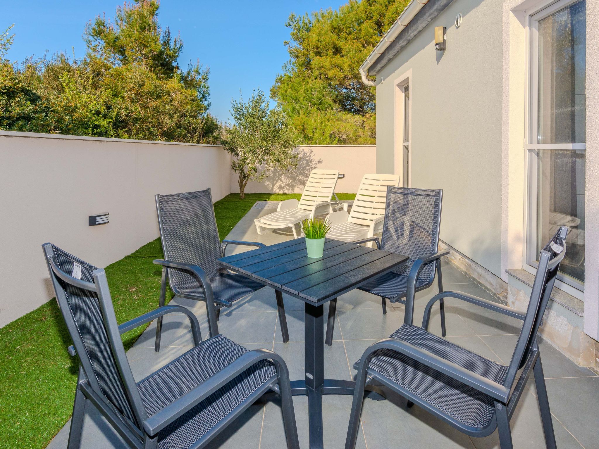 HH Stjepanovic-Image-tags.info