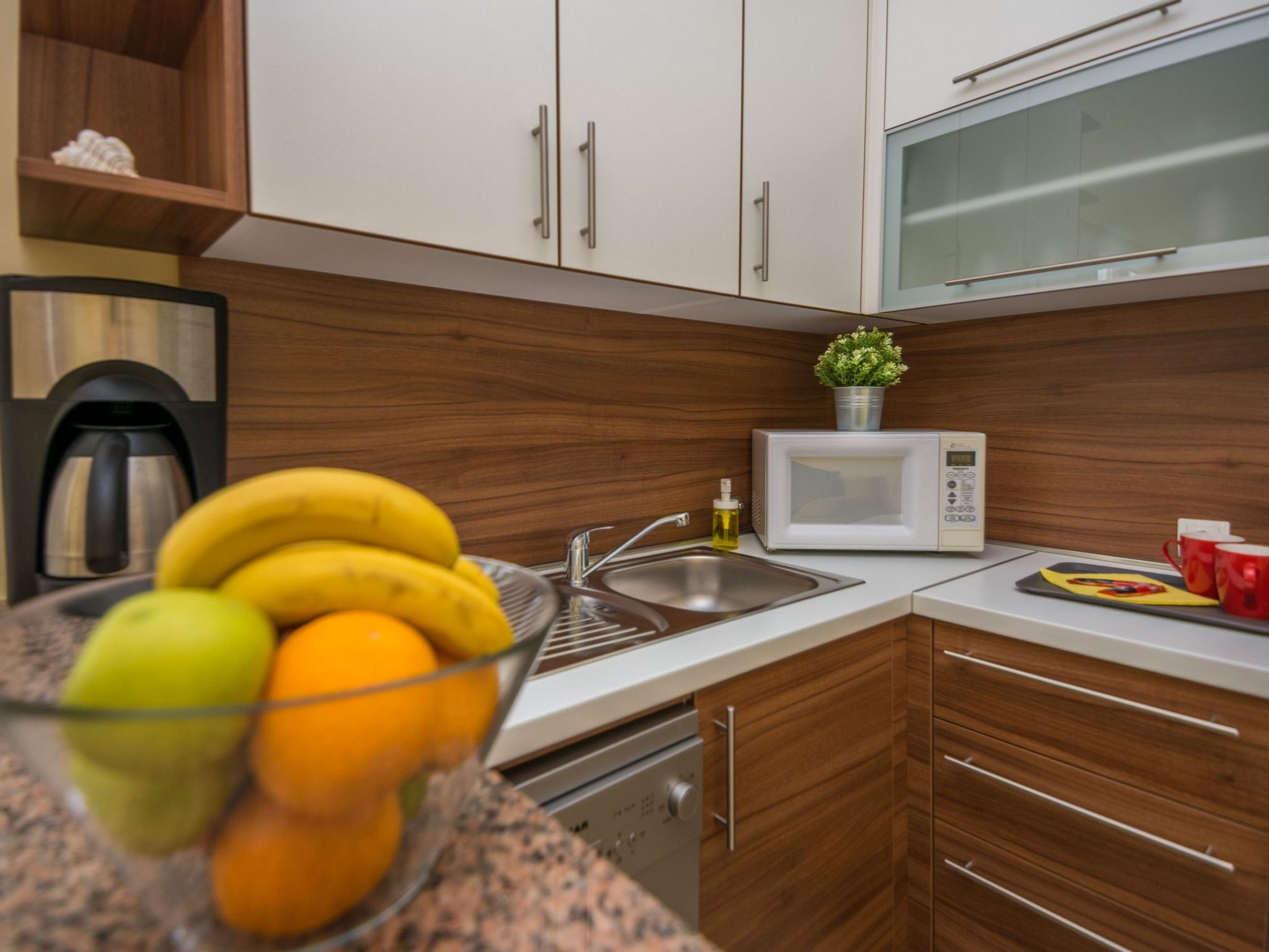 Apartment Bobeta 1-Image-tags.info