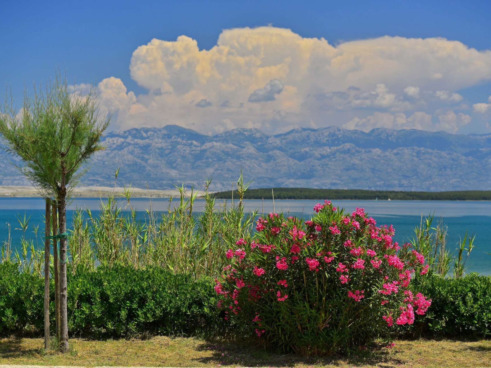 Villa "Mar" am Strand mit beheiztem Pool, Jacuzzi-Image-tags.info