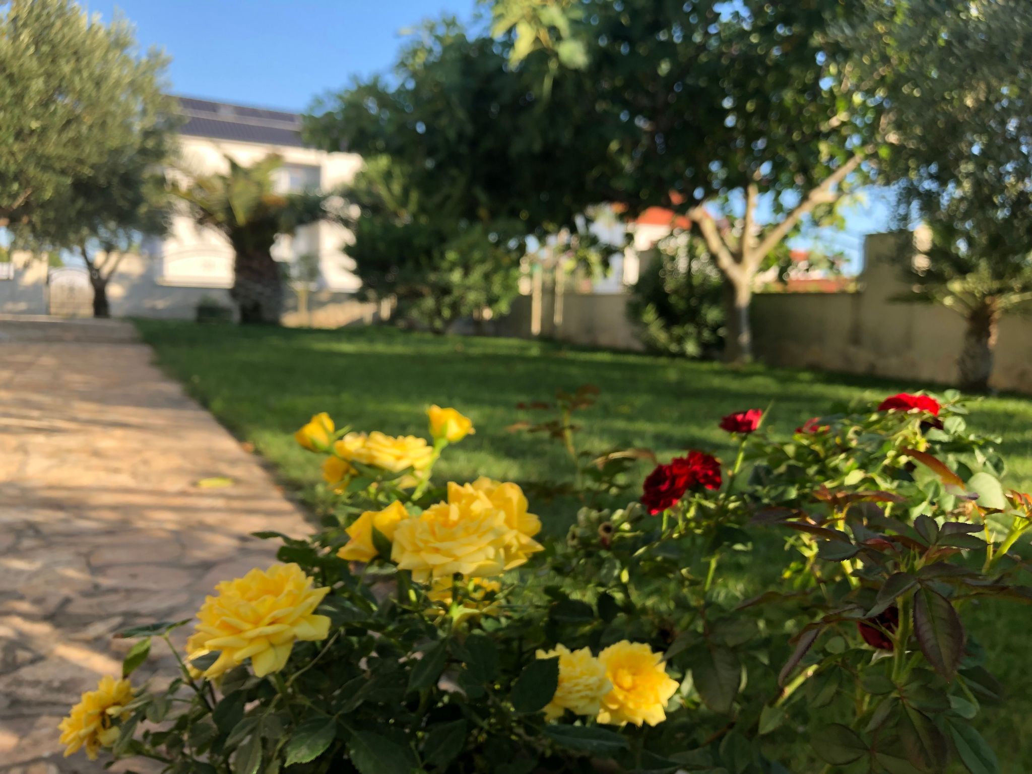 Villa Olive Grove-Drinnen